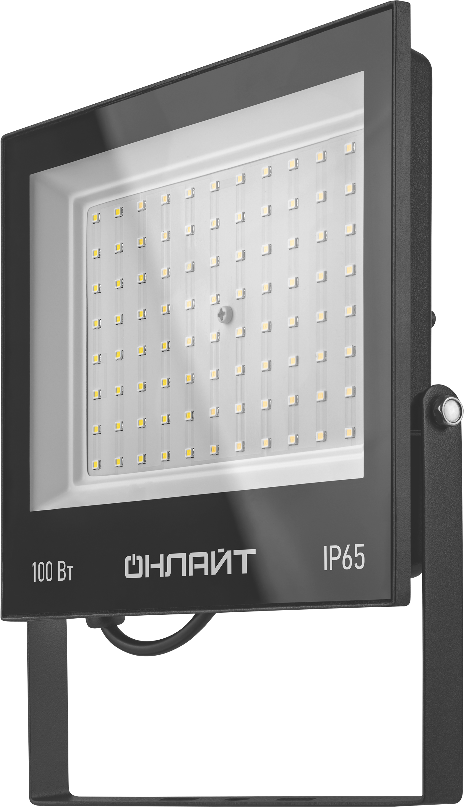 Светильник ОНЛАЙТ OFL-100-6K-BL-IP65-LED (10/1/1)