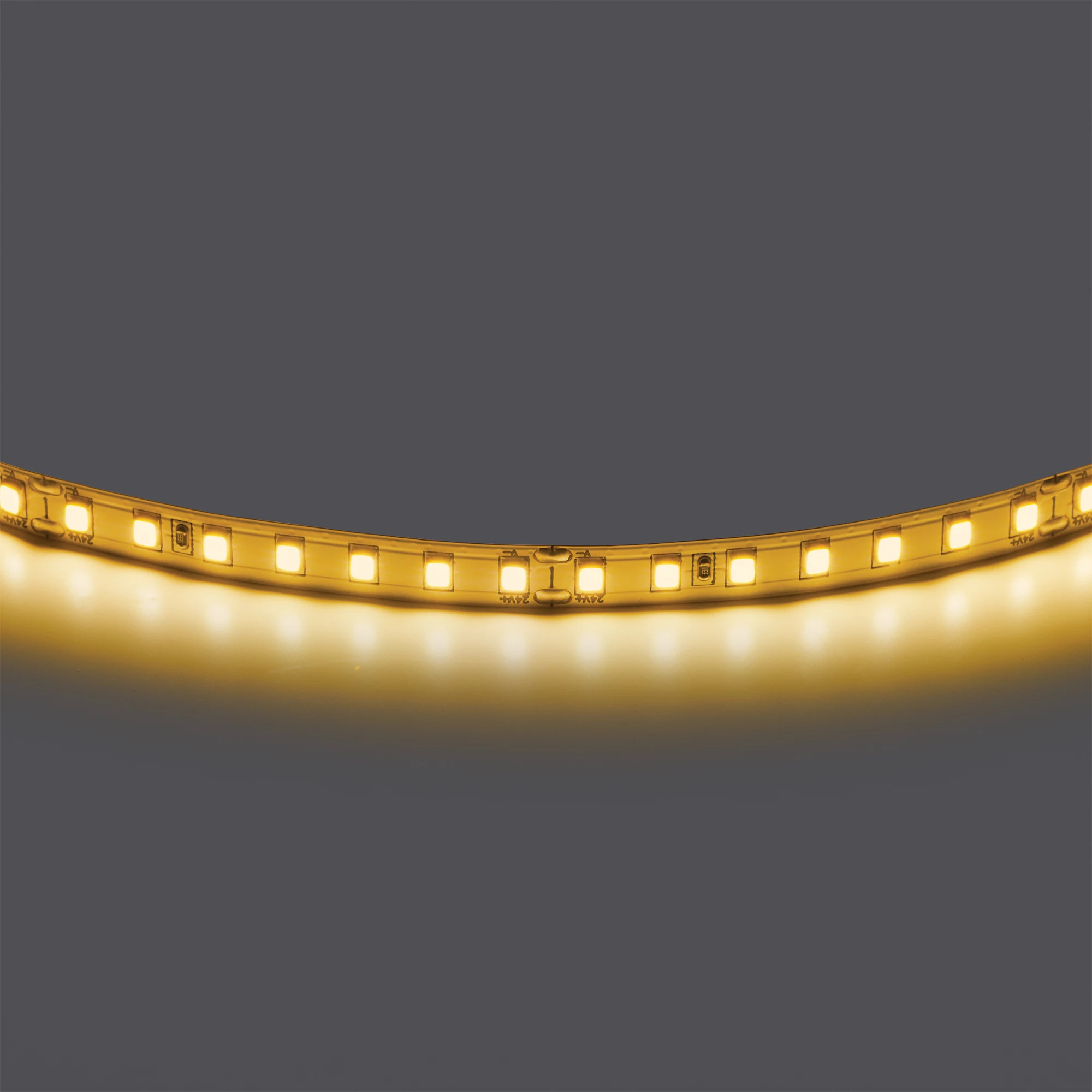 Lightstar 420843 Лента двухсторонняя LIGHTSTAR LED 24V 12W 360G 5m/roll 3000K, шт фото