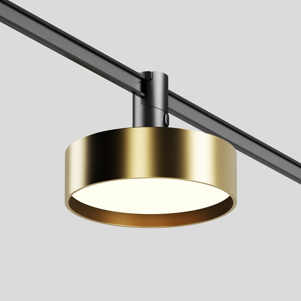 Maytoni Technical Трековый светильник TR204-1-12W3K-BBS фото