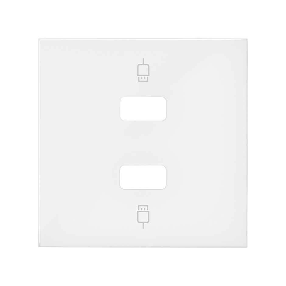 Simon 100 Белый матовый Накладка розетки 2xUSB фото