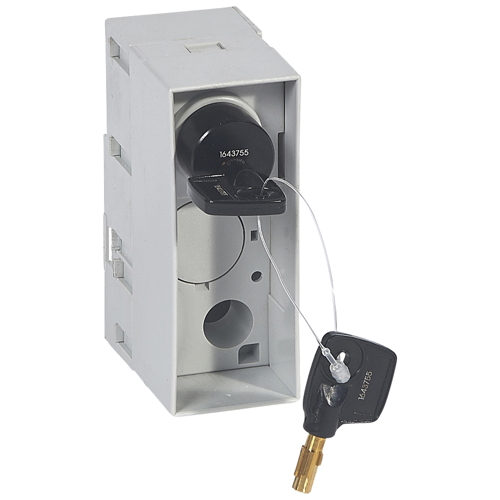 Legrand Блокиратор Profalux для моторизированных выкатных DPX - для механизма Debro-lift 2 ключа. фото