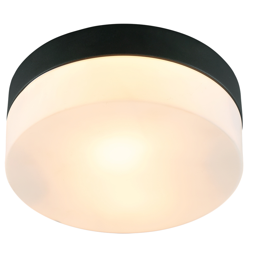 Arte Lamp A6047PL-1BK AQUA-TABLET Светильник потолочный IP44 фото