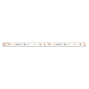 Varton LED лента 8.6W/m 24V 6000K 5m x08mm IP20 SMD2835 128 LED/м (упаковка 5 м) фото