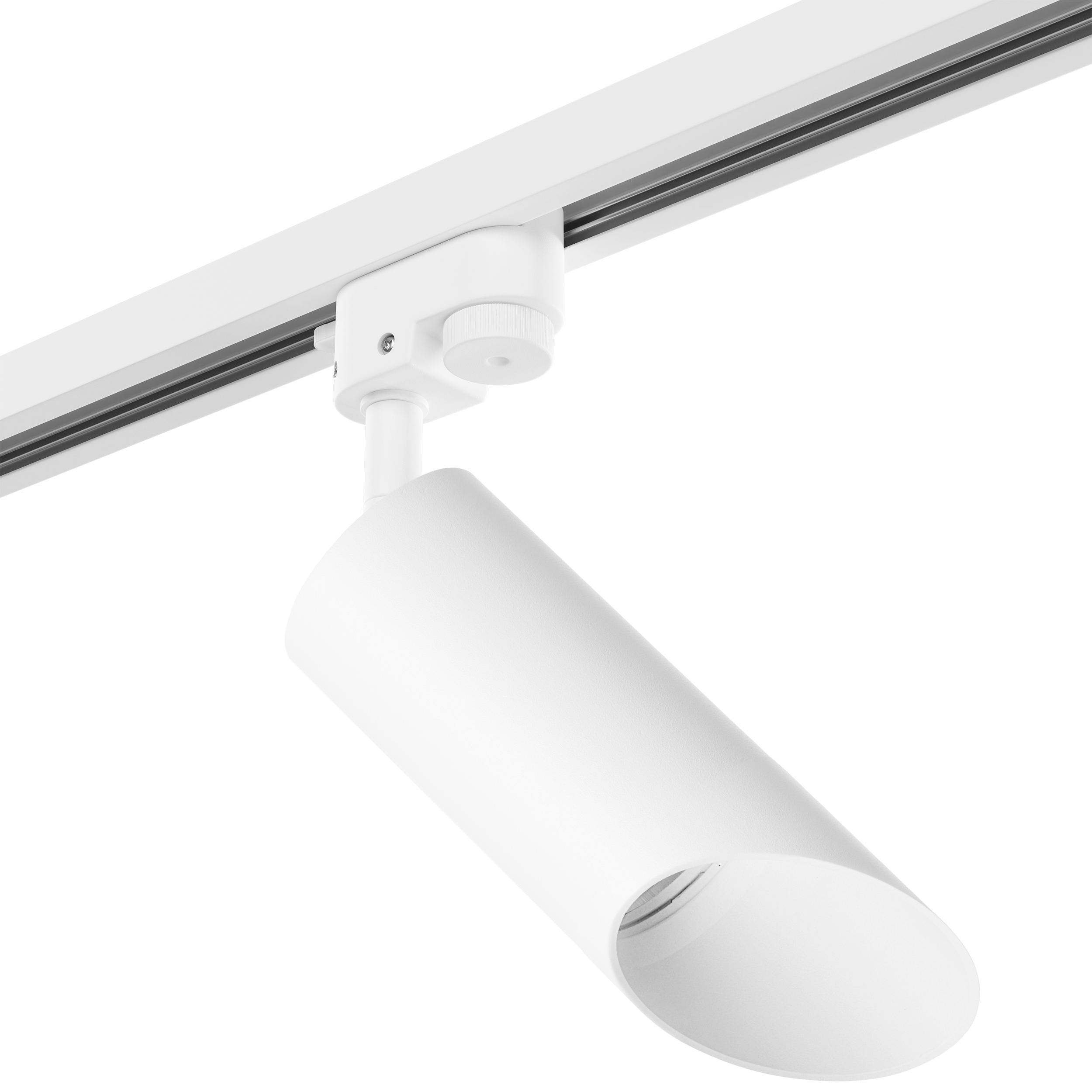 Lightstar Комплект со светильником Rullo Rullo Lightstar R1T43636 фото