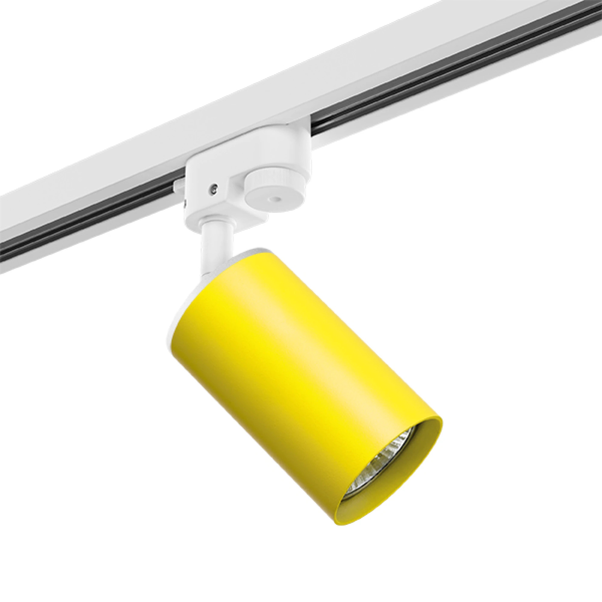Lightstar Комплект со светильником Rullo Rullo Lightstar R1T433 фото