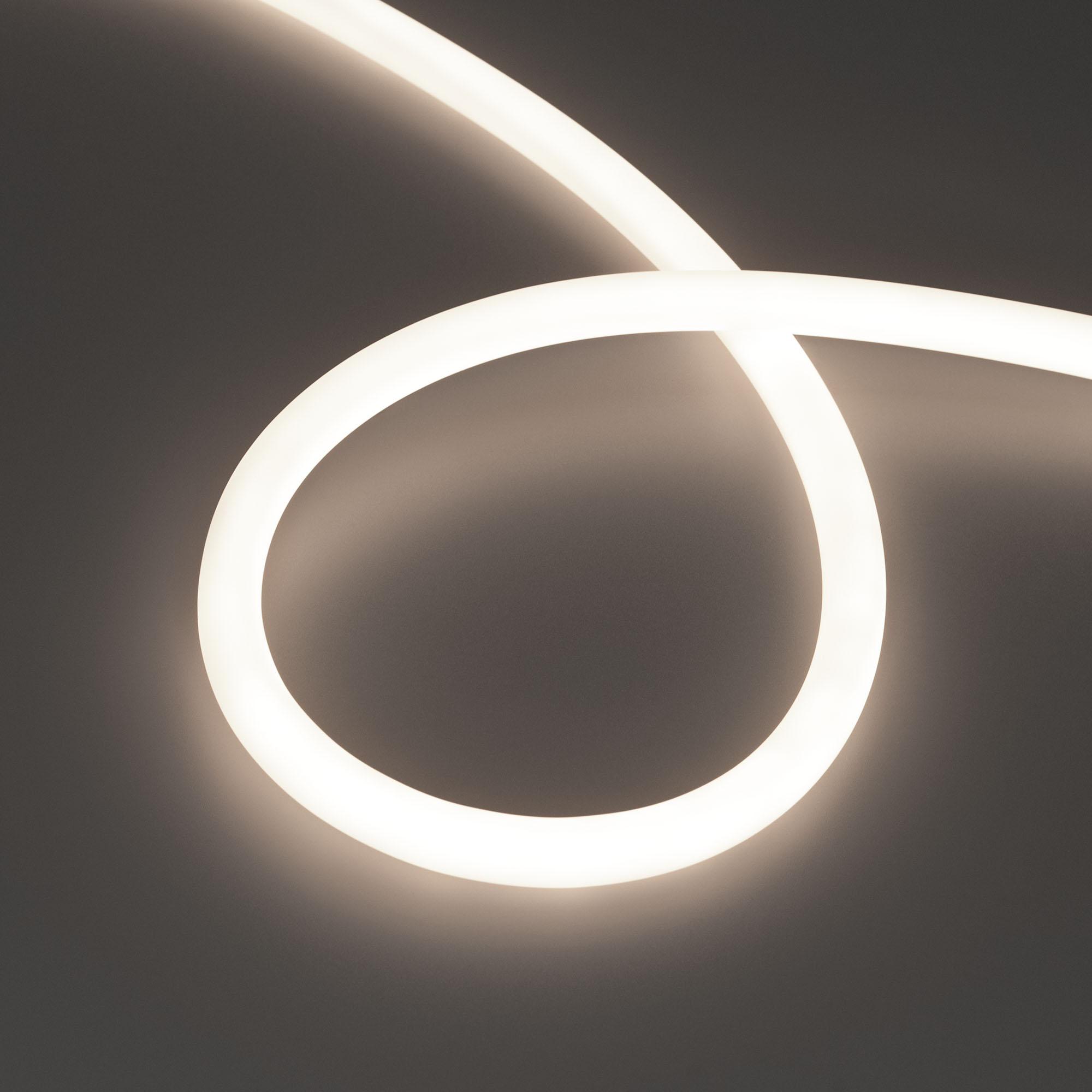 Arlight Лента герметичная MOONLIGHT-TOP-X560-D13mm 24V Day4000 360deg (8.6 W/m, IP65, CSP, 5m, wire x1) (Прямой вывод кабеля) фото