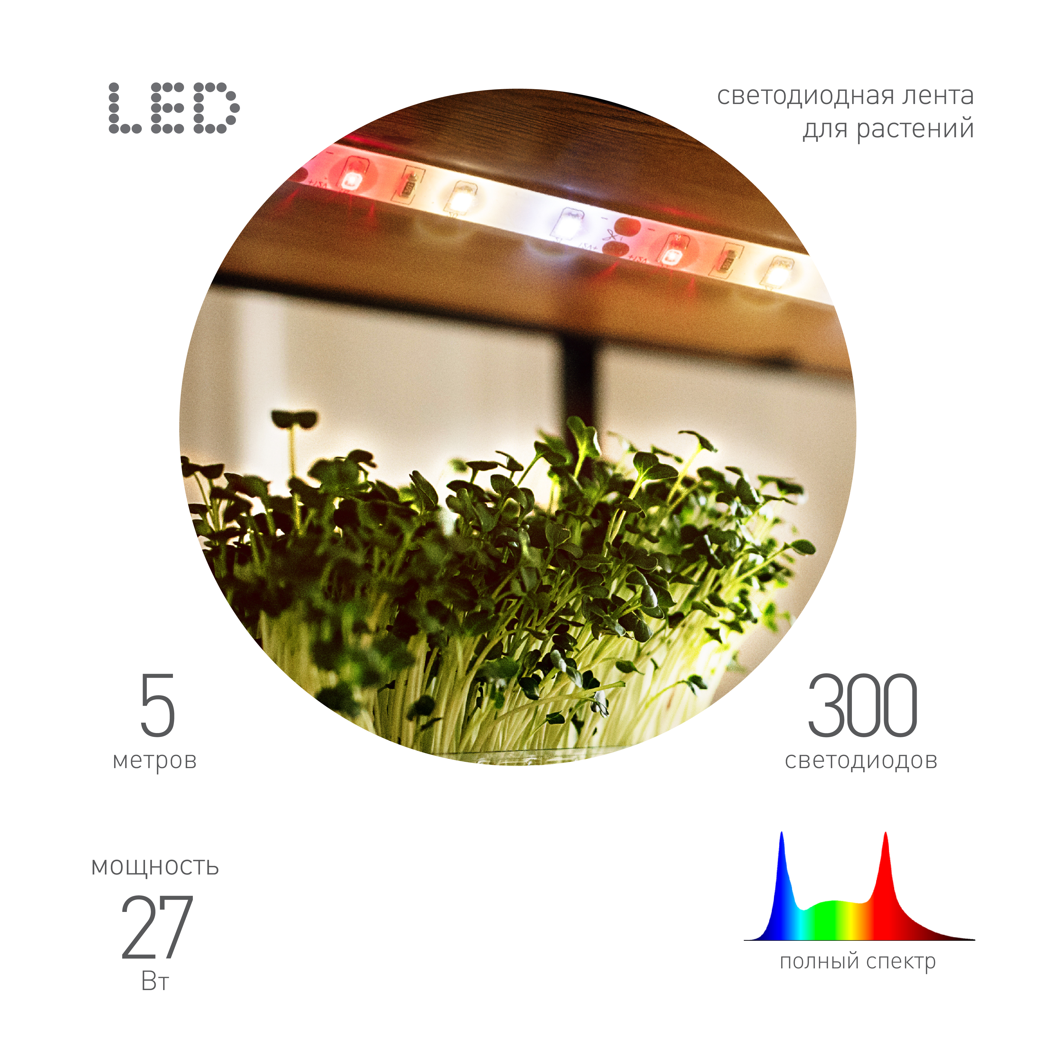 ЭРА Светодиодная лента для растений FITO-Strip Light-Rа90-300LED-5m-12V-IP65 полного спектра 5м IP65 с адаптером 12В фото