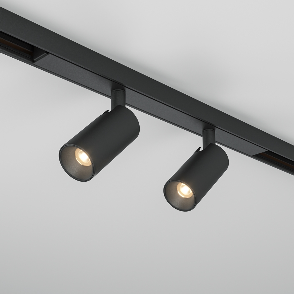 Maytoni Technical Трековый светильник TR176-1-2X3WTW-M-B фото