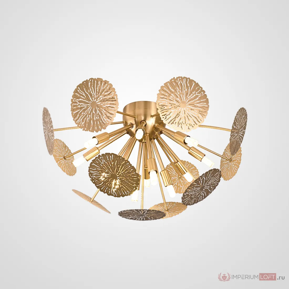ImperiumLoft Потолочная люстра INCA D48 фото