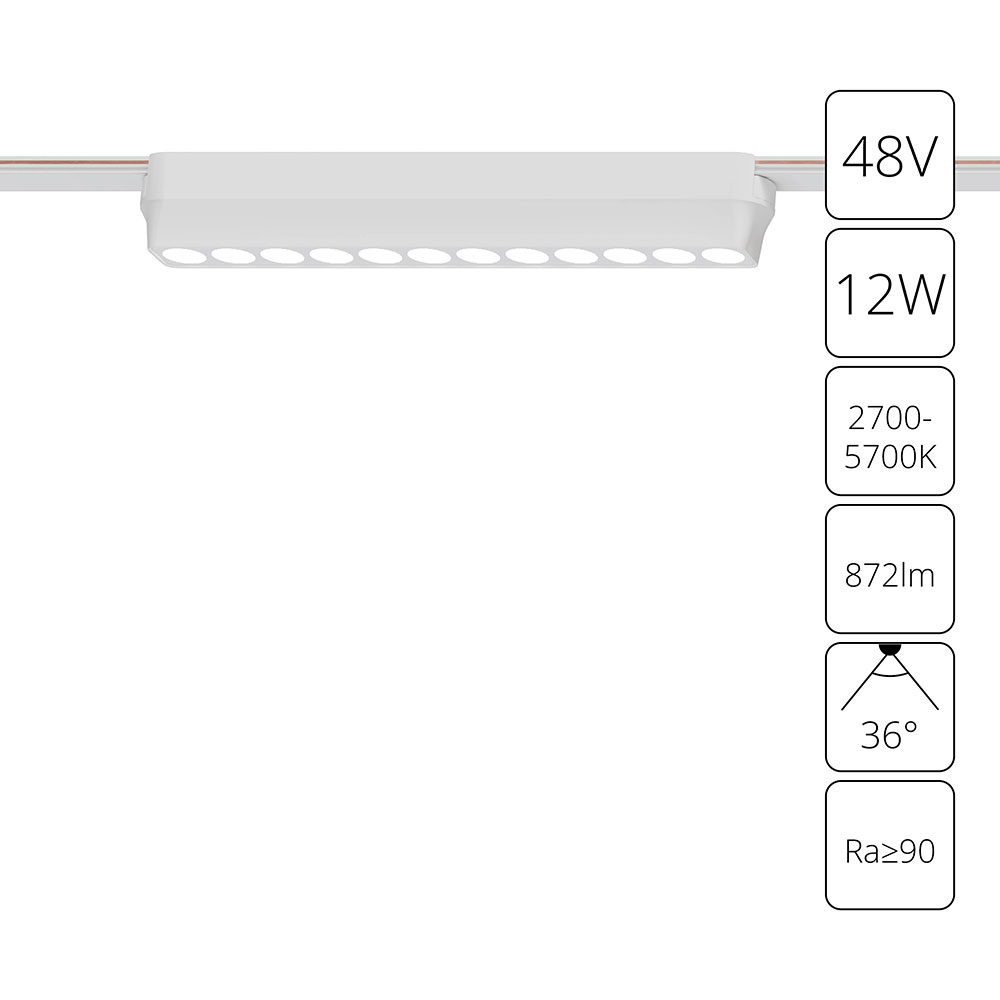 Arte Lamp A2954PL-1WH СВЕТИЛЬНИК ПОТОЛОЧНЫЙ RAPID 48В 12Вт макс 872лм 2700-5700К 90+ 36° smart фото