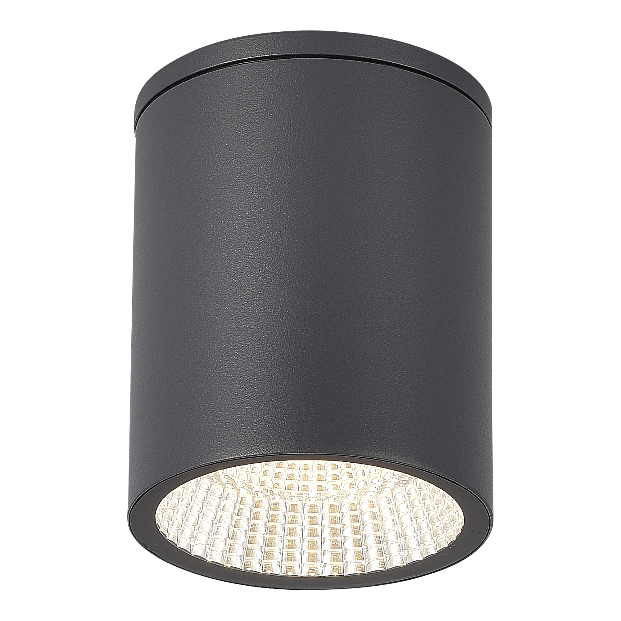 ST LUCE SL9514.712.01 Светильник уличный потолочный серый/белый LED 1*12W 3000K/4000K/6500K фото