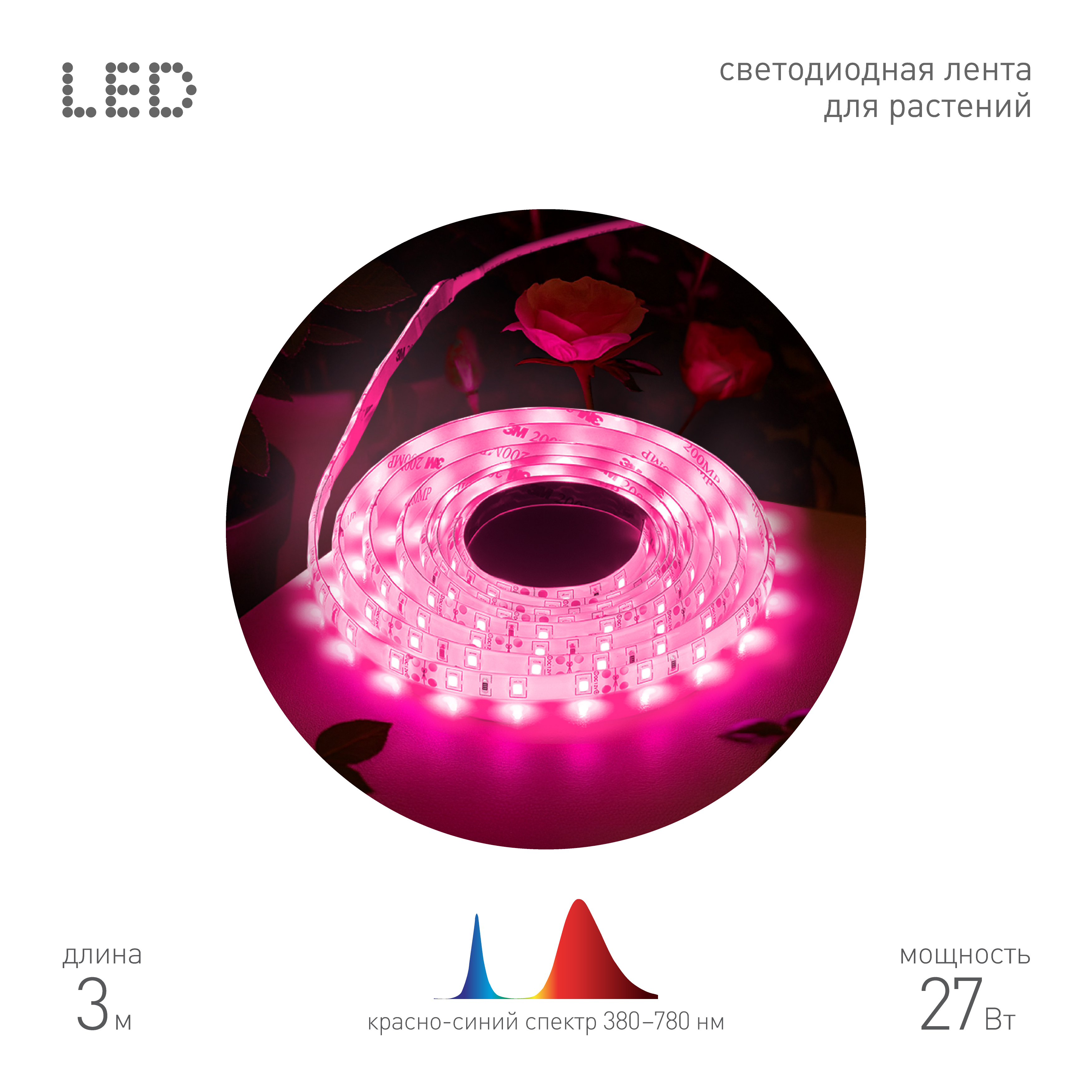 ЭРА Светодиодная лента для растений FITO-Strip Light-RB-27W-3m-12V-IP65 красно-синего спектра 3м IP65 с адаптером 12V фото