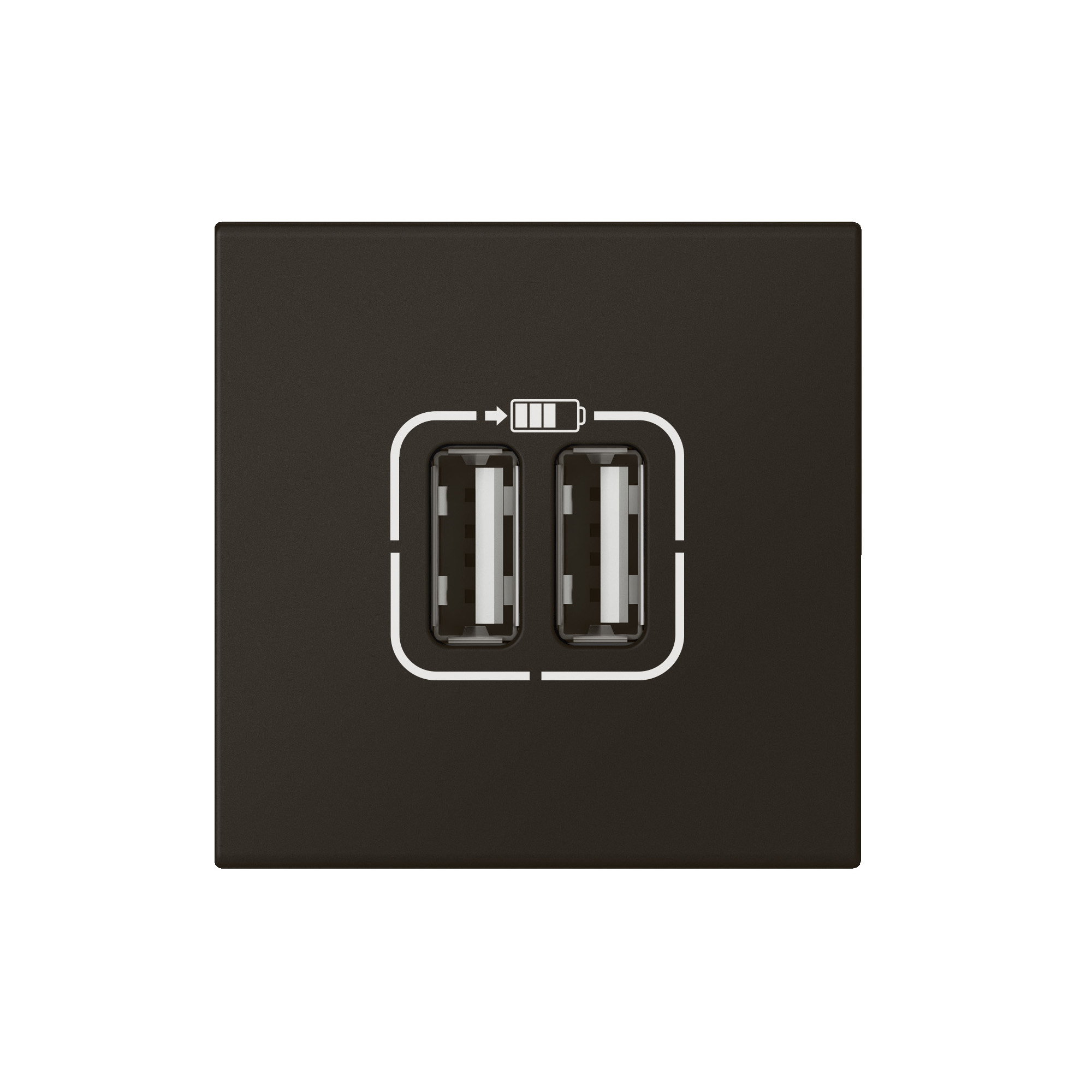 Legrand Mosaiс Розетка USB А+А для зарядки двойная - Программа Mosaic - 2 модуля - матовая черная. фото