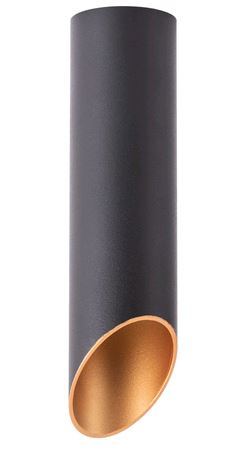 Arte Lamp PILON-GOLD Потолочные светильники A1535PL-1BK фото