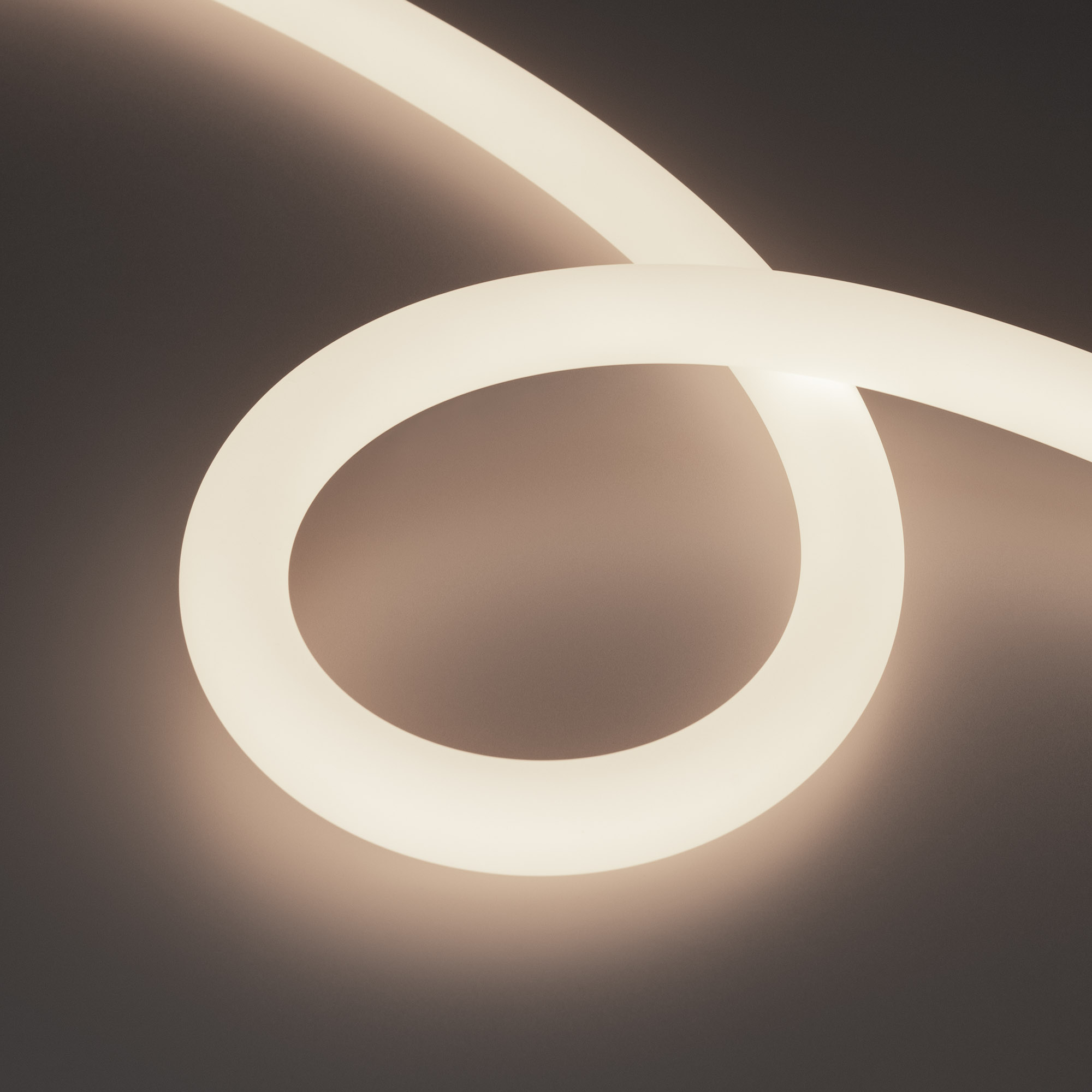 Arlight Лента герметичная MOONLIGHT-SIDE-A336-D25mm 24V Day4000 360deg (14.4 W/m, IP65, 2835, 5m, wire x2) ( Боковой вывод кабеля) фото