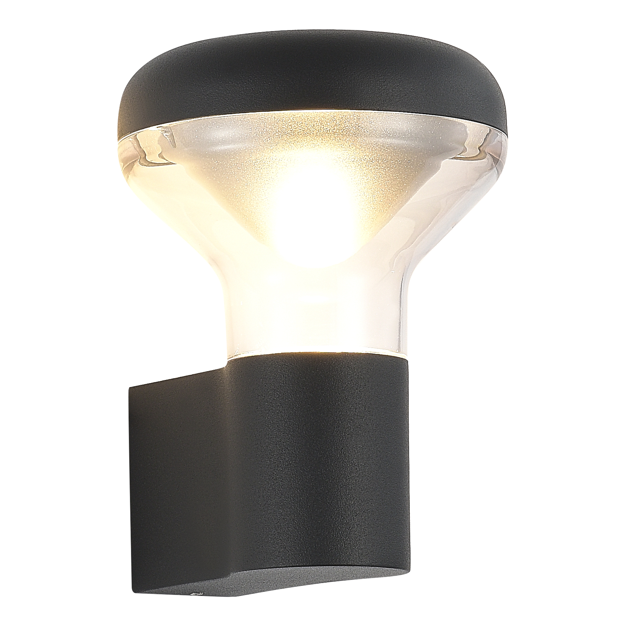 ST LUCE SL9541.701.01 Светильник настенный темно-серый/прозрачный LED 1*6W 3000K фото