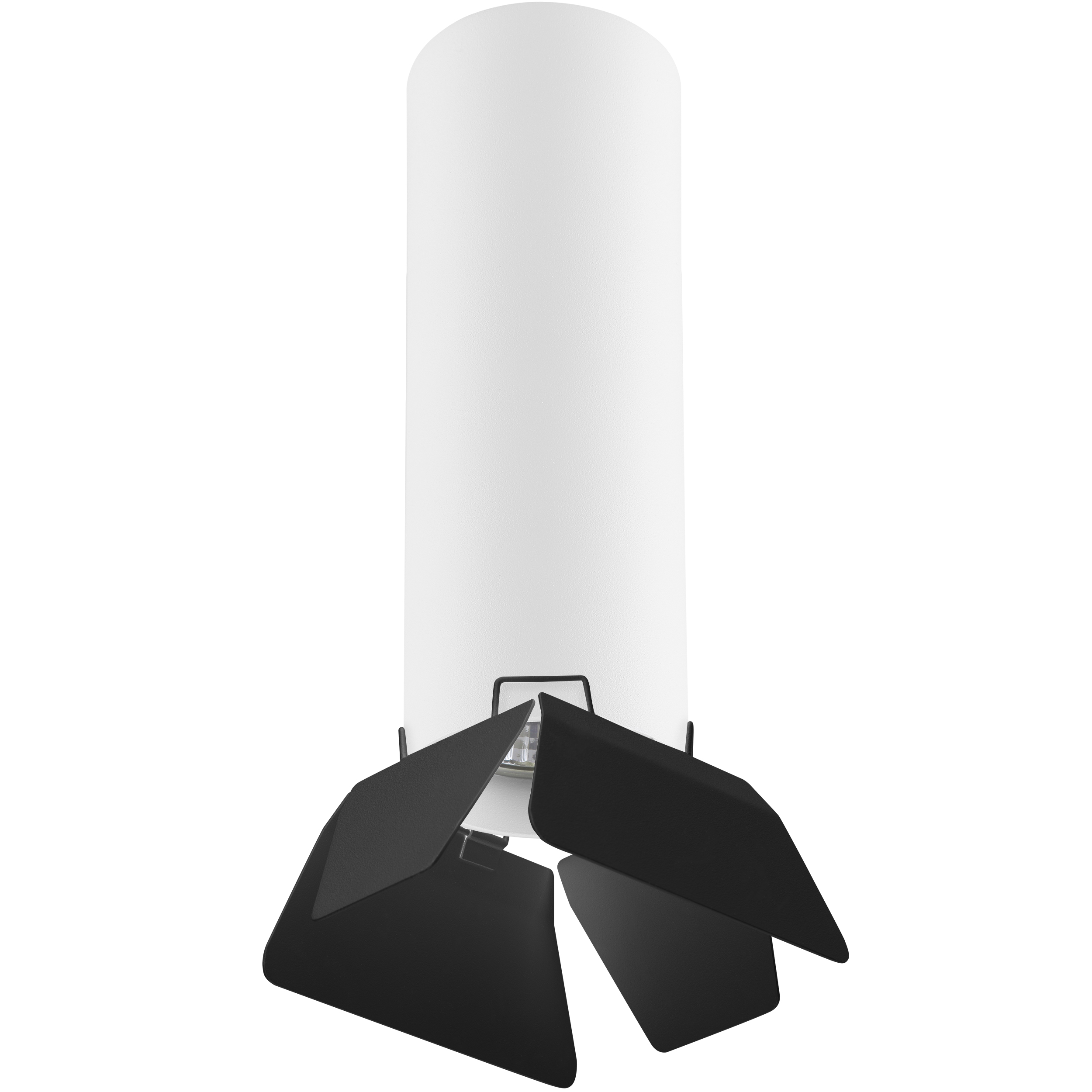 Lightstar Комплект со светильником Rullo Rullo Lightstar R496437 фото