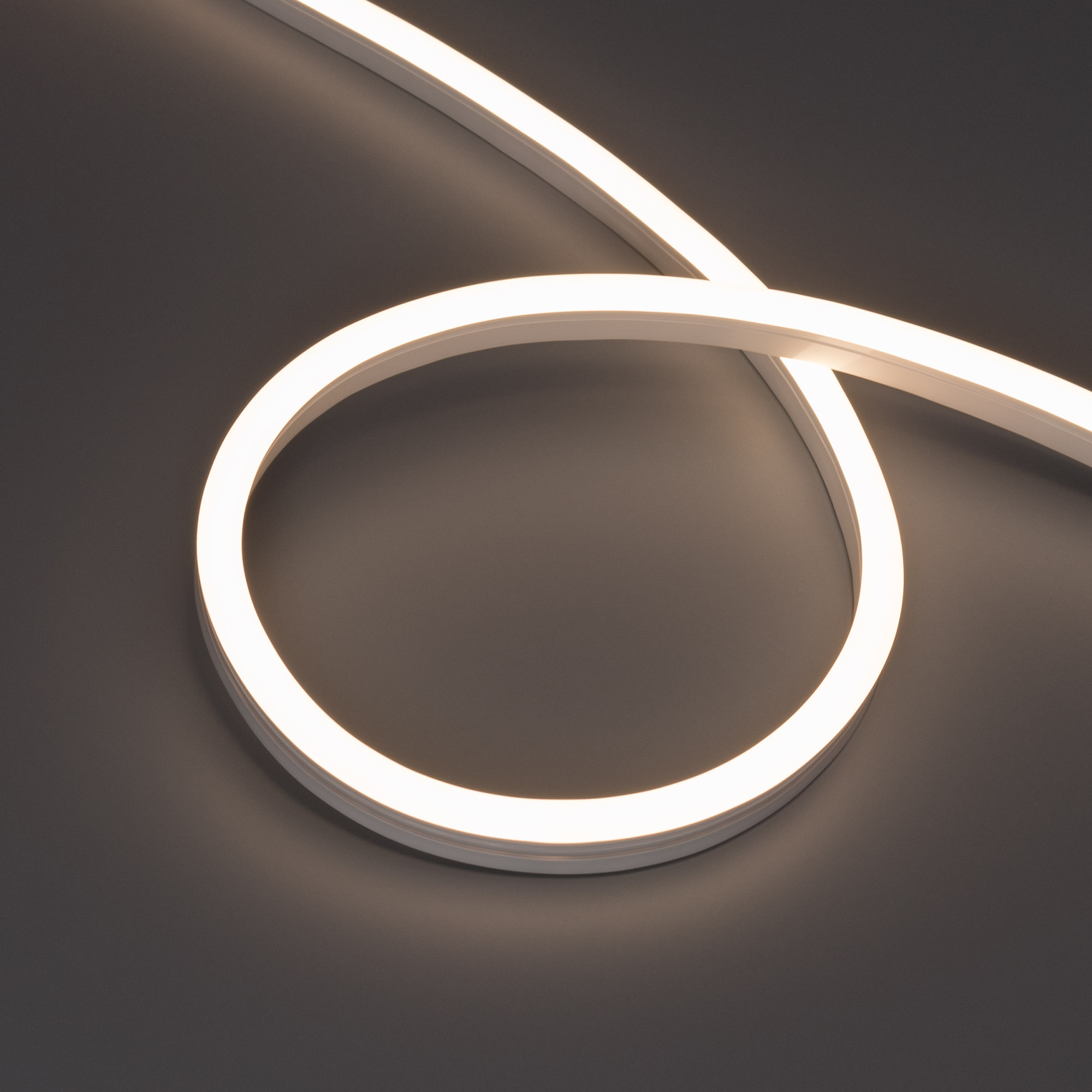 Arlight Светодиодная лента герметичная HALO-SIDE-A160-10x17mm 24V Warm3000 (10 W/m, IP67, 5m, wire x1) (Вывод прямой, 3 года) фото