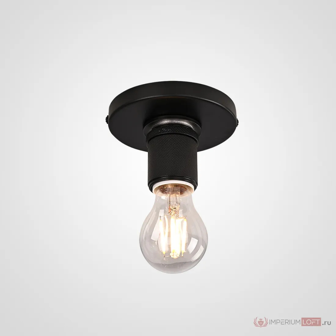 ImperiumLoft Потолочный светильник RH Utilitaire Socket Flushmount Black фото