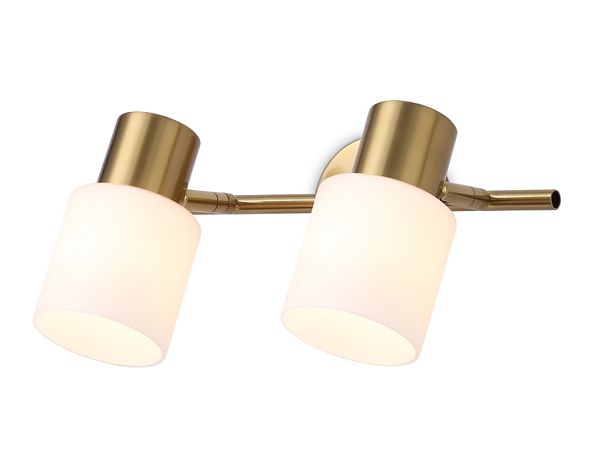 Ambrella Настенно-потолочный спот TR3969/2 BS/FR латунь/белый матовый E27*2 max 40W 260*80*210 фото