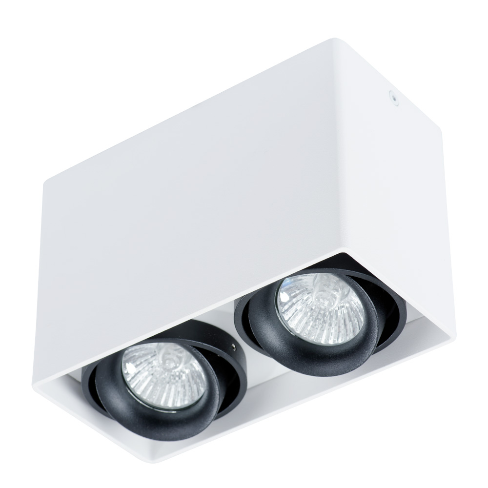 Arte Lamp PICTOR Потолочные светильники A5655PL-2WH фото