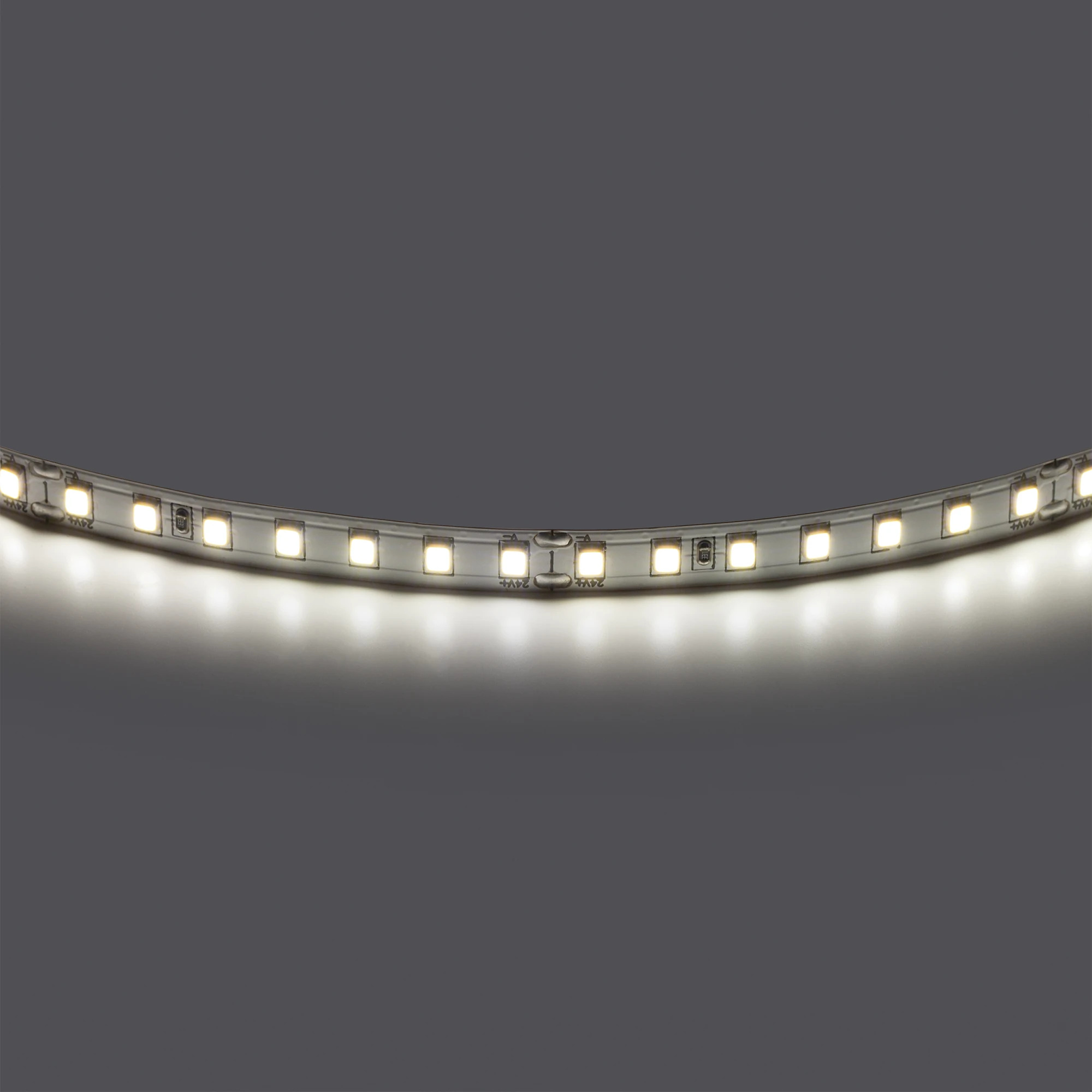 Lightstar 420844 Лента двухсторонняя LIGHTSTAR LED 24V 12W 360G 5m/roll 4000K, шт фото