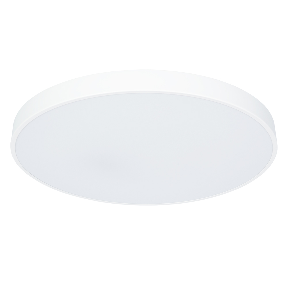 Arte Lamp A2671PL-1WH Потолочный светильник LED 80W 4000K фото