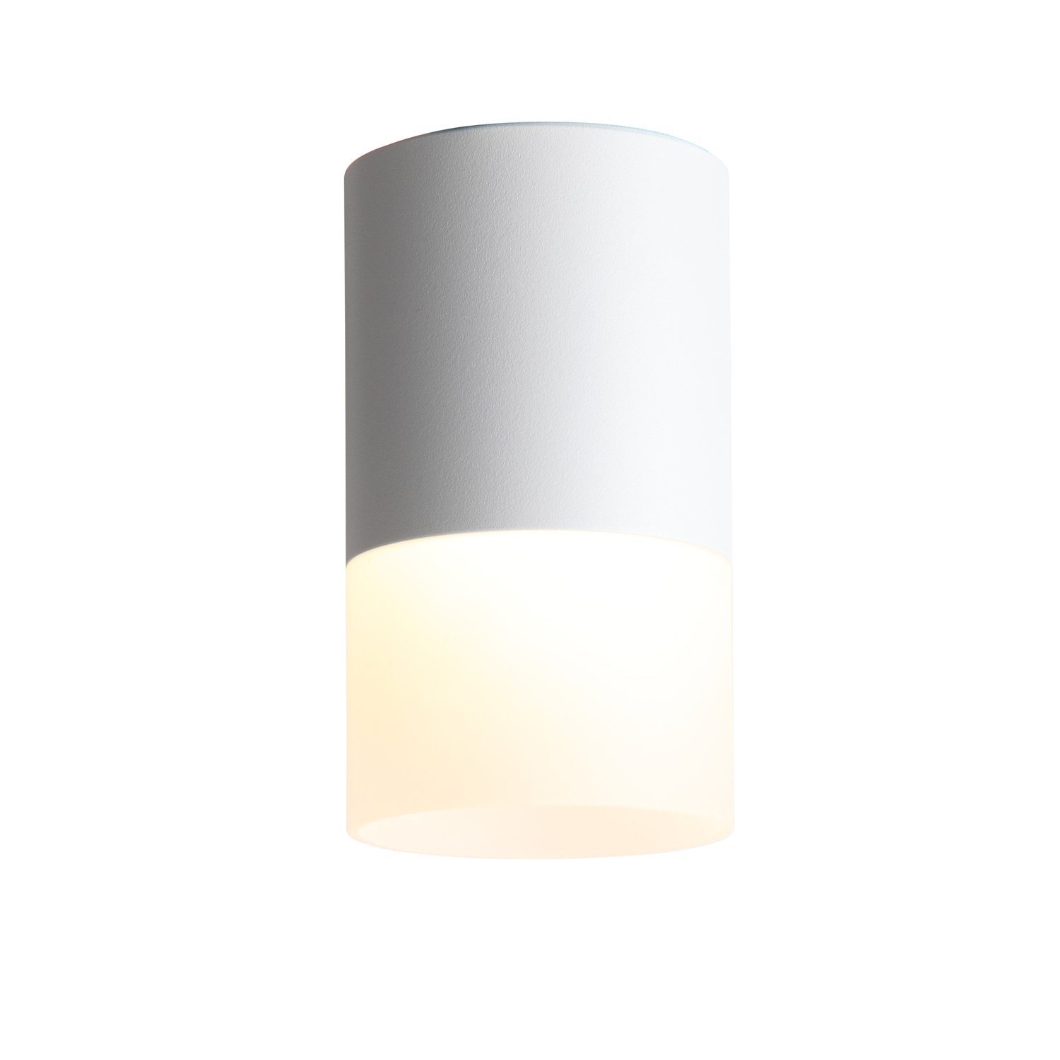 ST Luce ST100.502.10 Светильник потолочный Белый LED 1*10W 3000K 780Lm Ra>80 120° D78xH135 170-240V фото