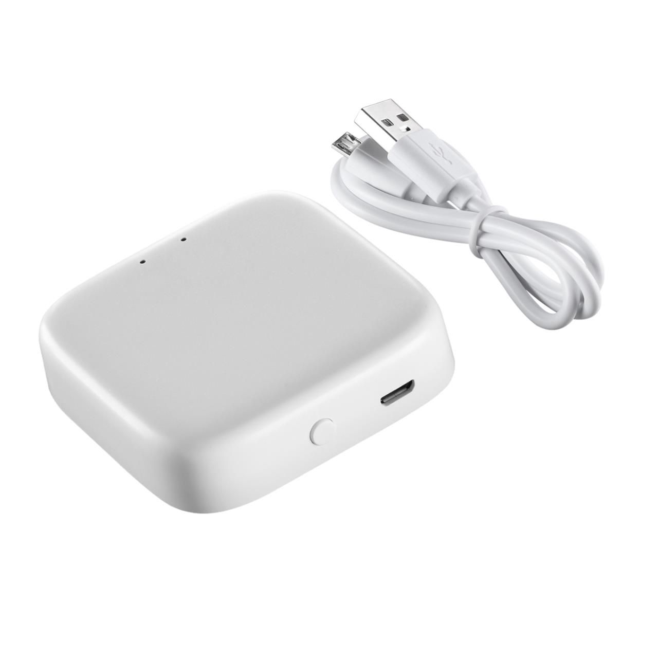 Novotech 359457 GATE NT24 113 белый Интеллектуальный Bluetooth-шлюз Tuya Smart Life для умного дома 2,4ГГц IP20 EASY фото