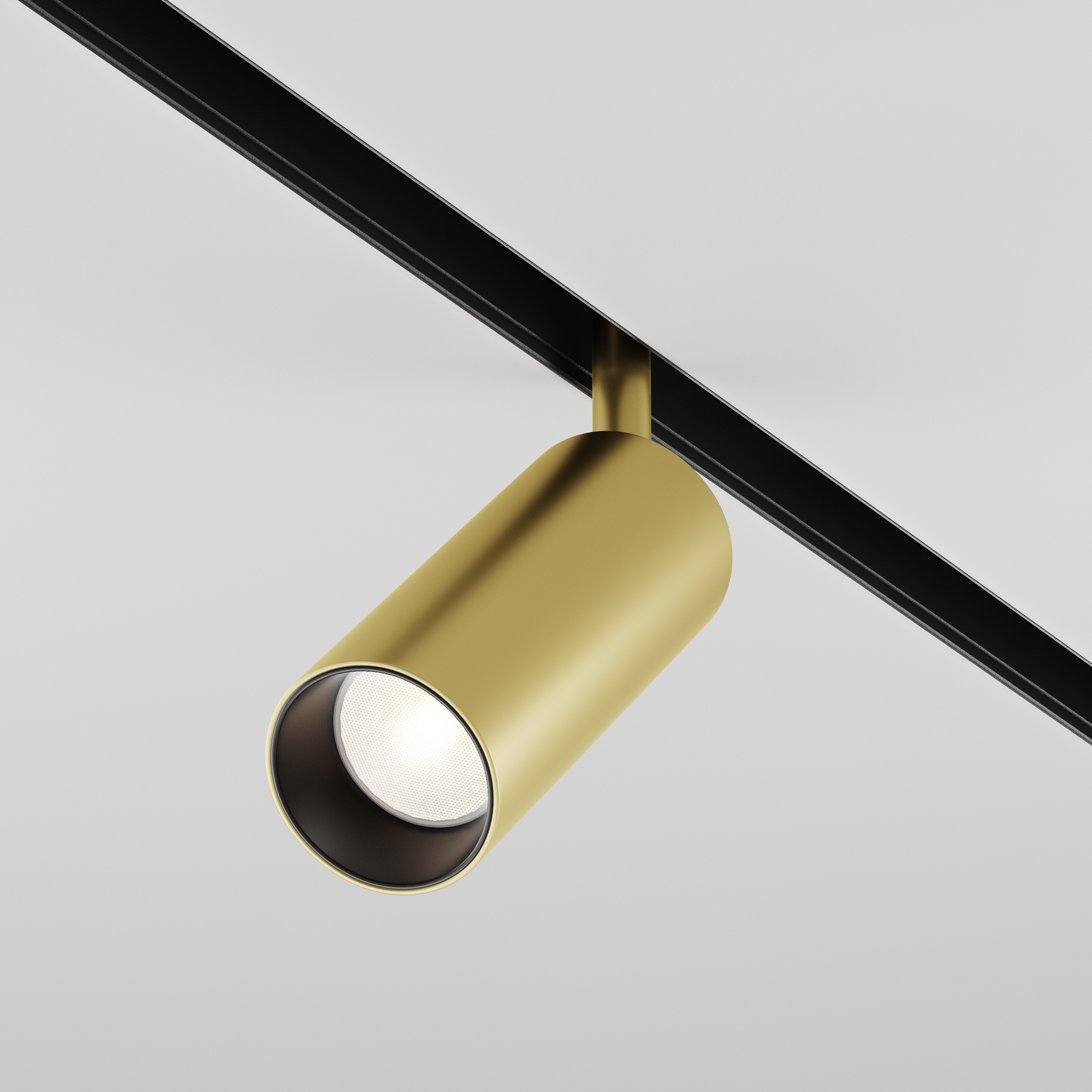 Maytoni Трековый светильник Focus Led Exility 4000K 12Вт 24° Матовое Золото TR032-2-12W4K-S-MG фото