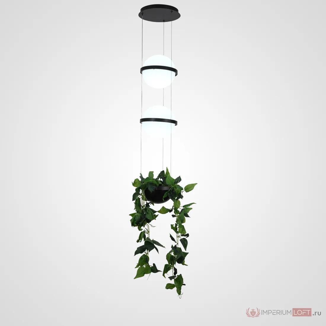 ImperiumLoft Подвесной светильник PALMA Wall lamp 2 шара + 1 вазон фото