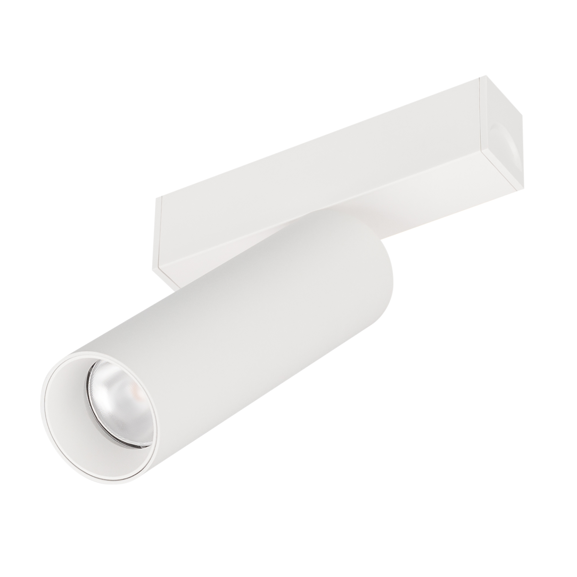 Arlight Светильник MAG-SPOT-25-R120-12W Day4000 (WH, 30 deg, 24V) (IP20 Металл, 5 лет) фото