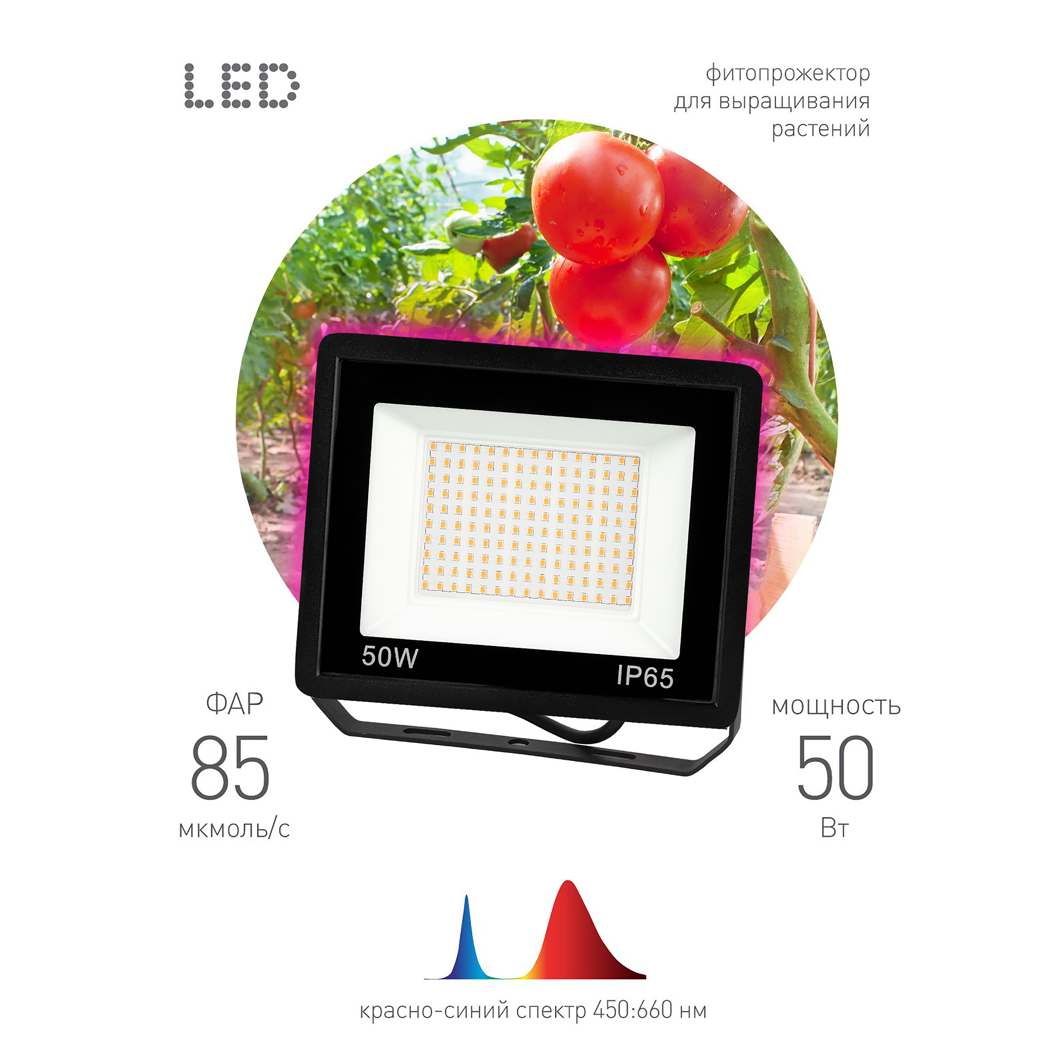 ЭРА Фитопрожектор для растений светодиодный FITO-50W-RB-LED для цветения и плодоношения красно-синего спектра 50 Вт фото