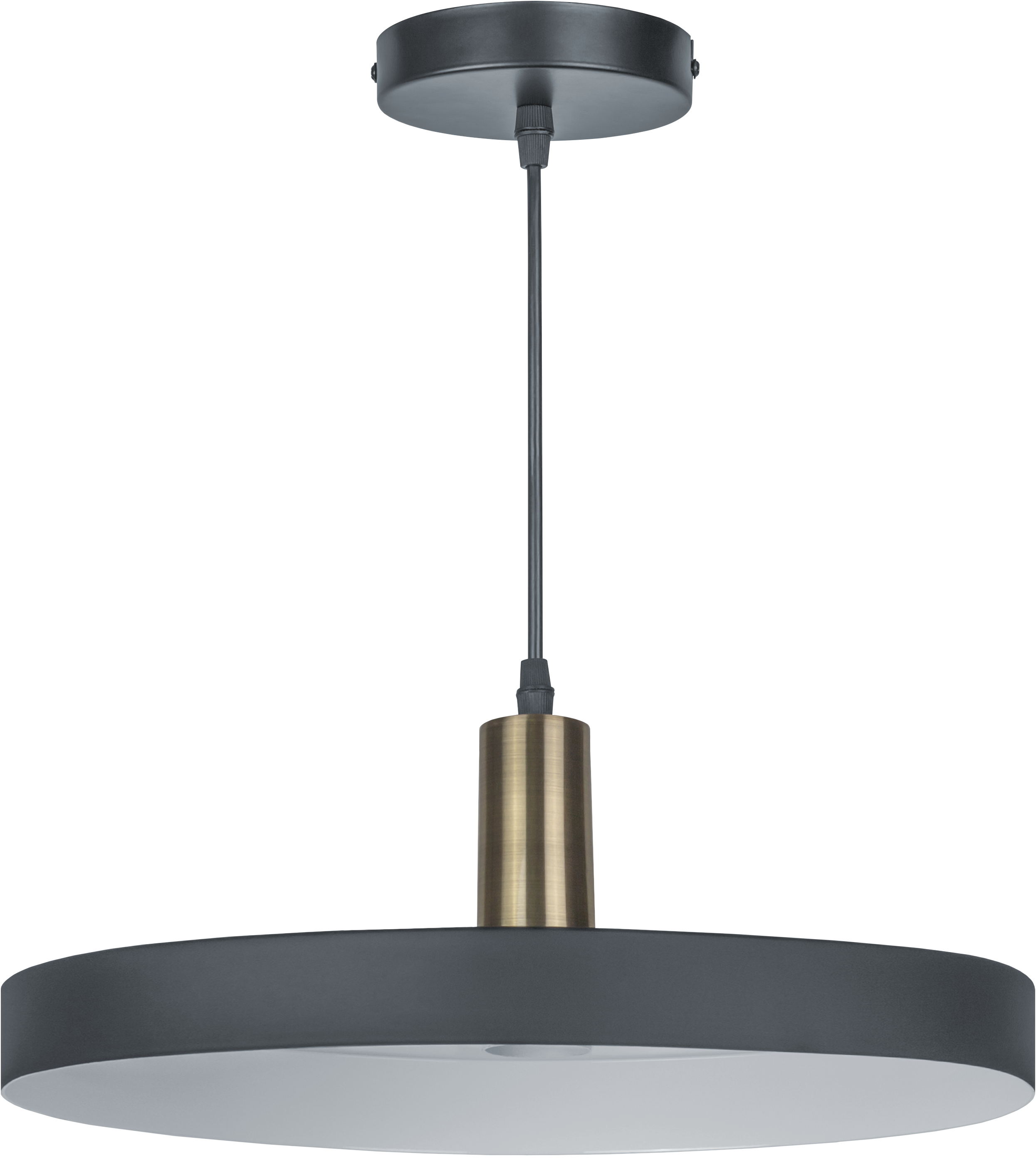 Navigator Светильник 80 424 NLF-P-035-03 подвесной черный золото фото