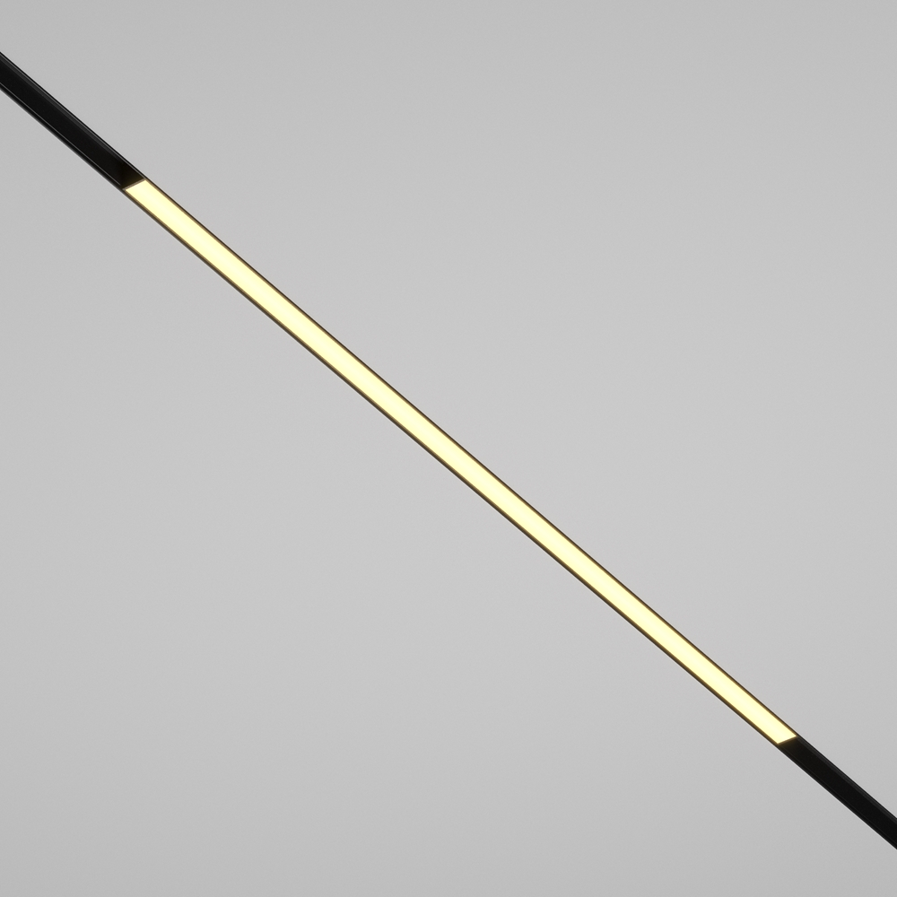 Maytoni Technical Трековый светильник TR030-2-30W2.7K-B фото