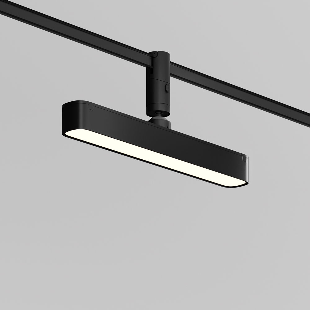Maytoni Technical Трековый светильник TR202-1-10W3K-B фото