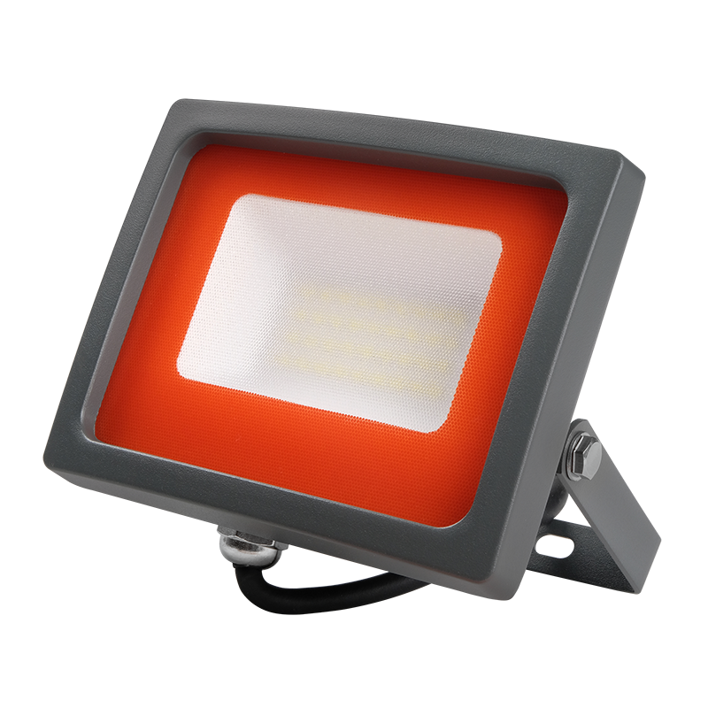 Jazzway Прожектор PFL-SC-30W 6500K IP65 (матовое стекло) фото
