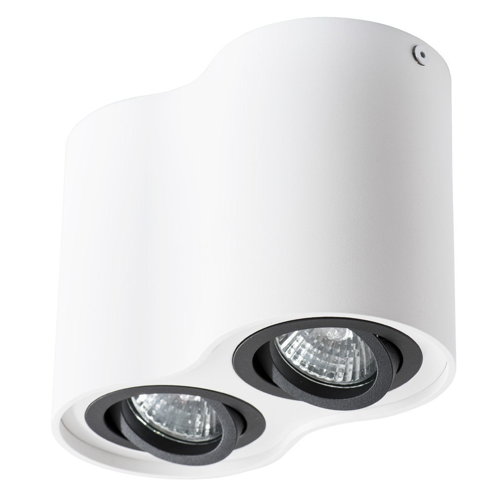 Arte Lamp FALCON Потолочные светильники A5644PL-2WH фото