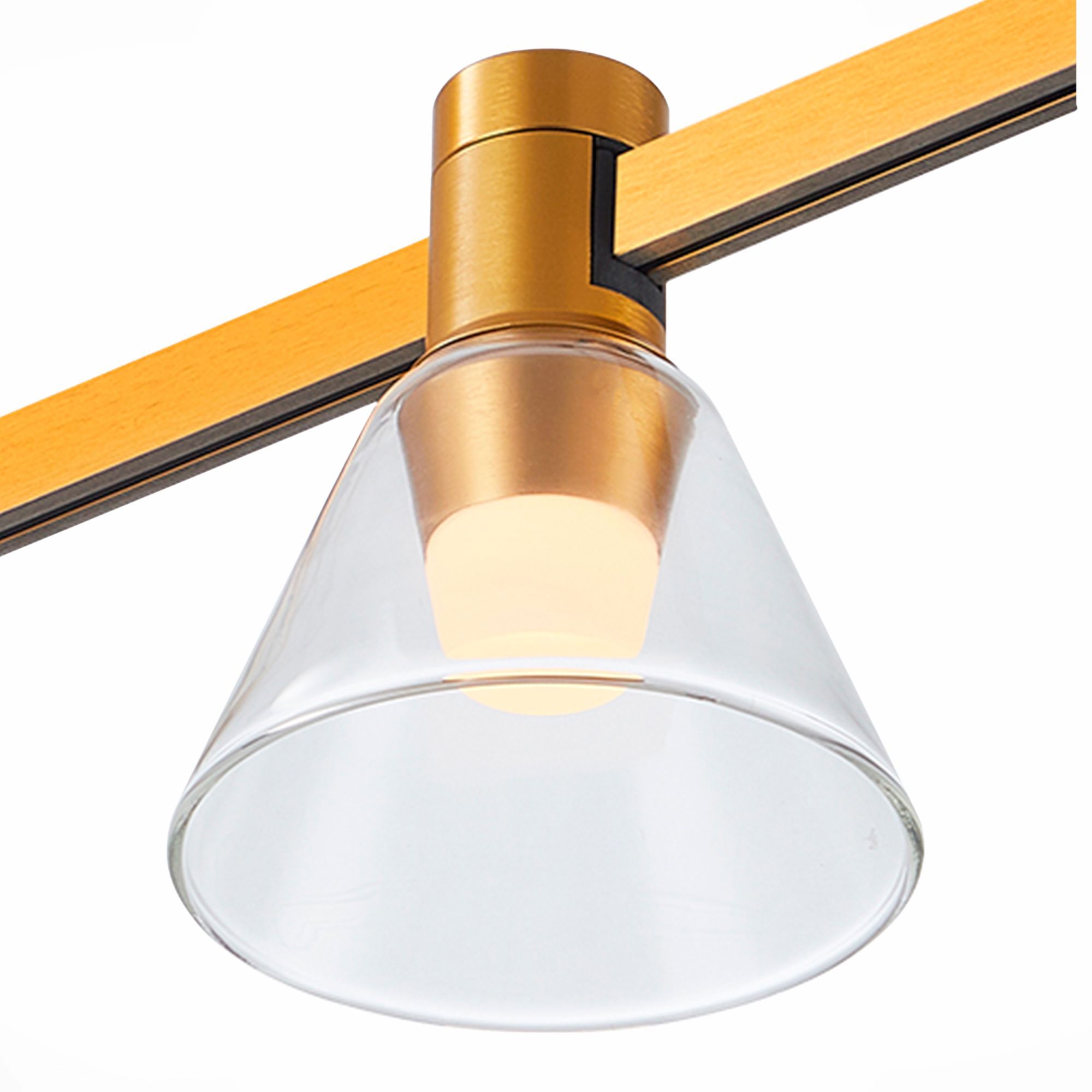 ST LUCE ST814.246.03 Магнитный трековый светильник FARM Золотистый LED 1*3W 4000K 89Lm Ra90 120 IP20 D90xH1 фото