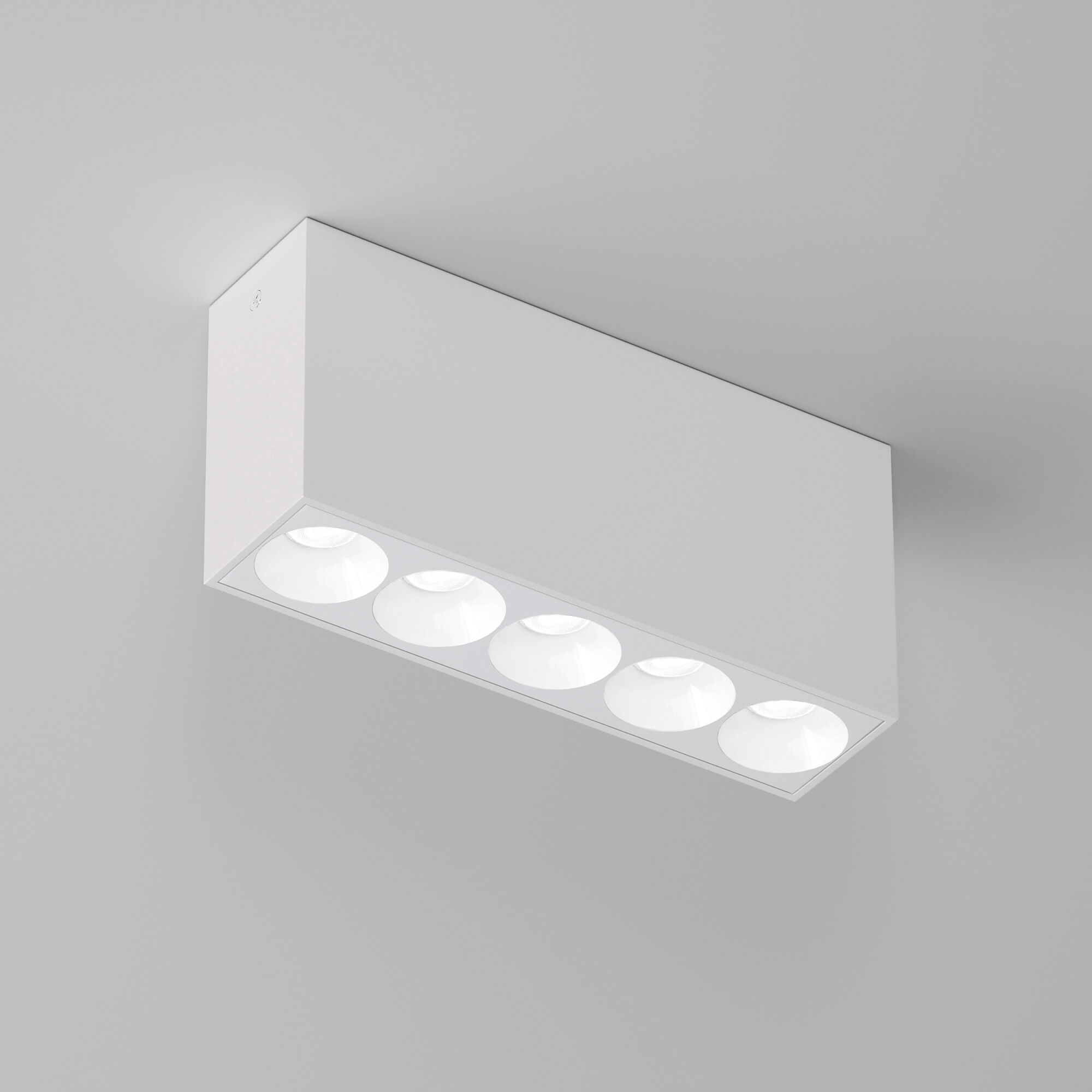 Elektrostandard 25108/LED 10W 4000K Светильник потолочный светодиодный белый фото