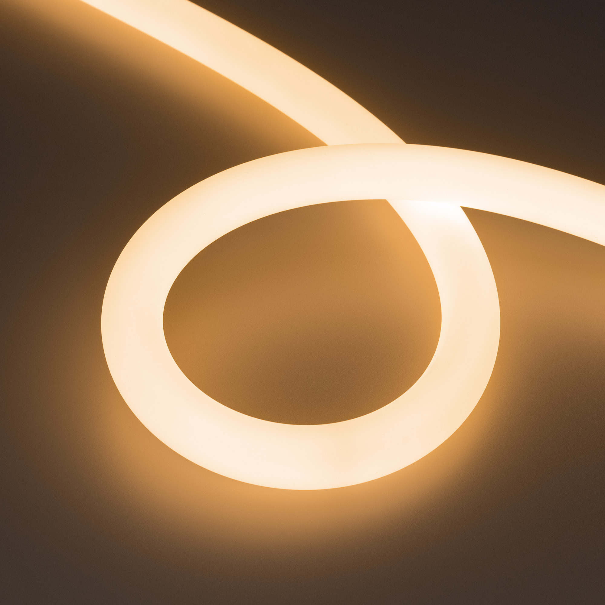 Arlight Лента герметичная MOONLIGHT-SIDE-FP-A336-D25mm 24V Warm2700 (20 W/m, IP65, 2835, 5m, wire x1) (Боковой вывод кабеля) фото