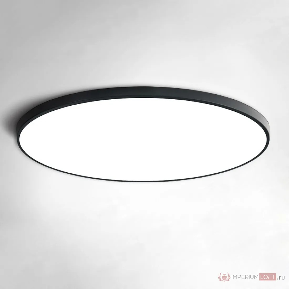 ImperiumLoft Потолочный светильник SLIM D30 Черный фото