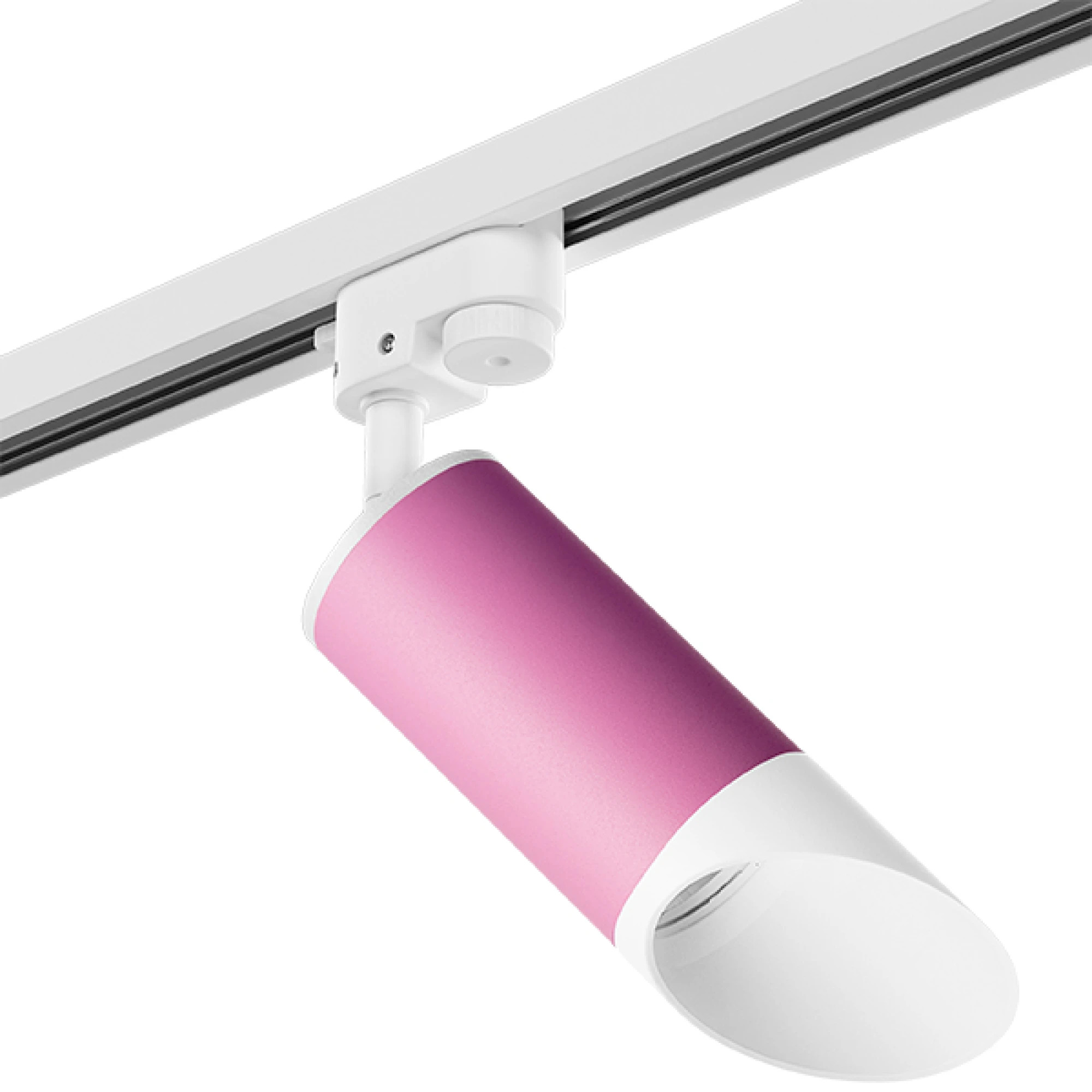 Lightstar Комплект со светильником Rullo Rullo Lightstar R1T43236 фото