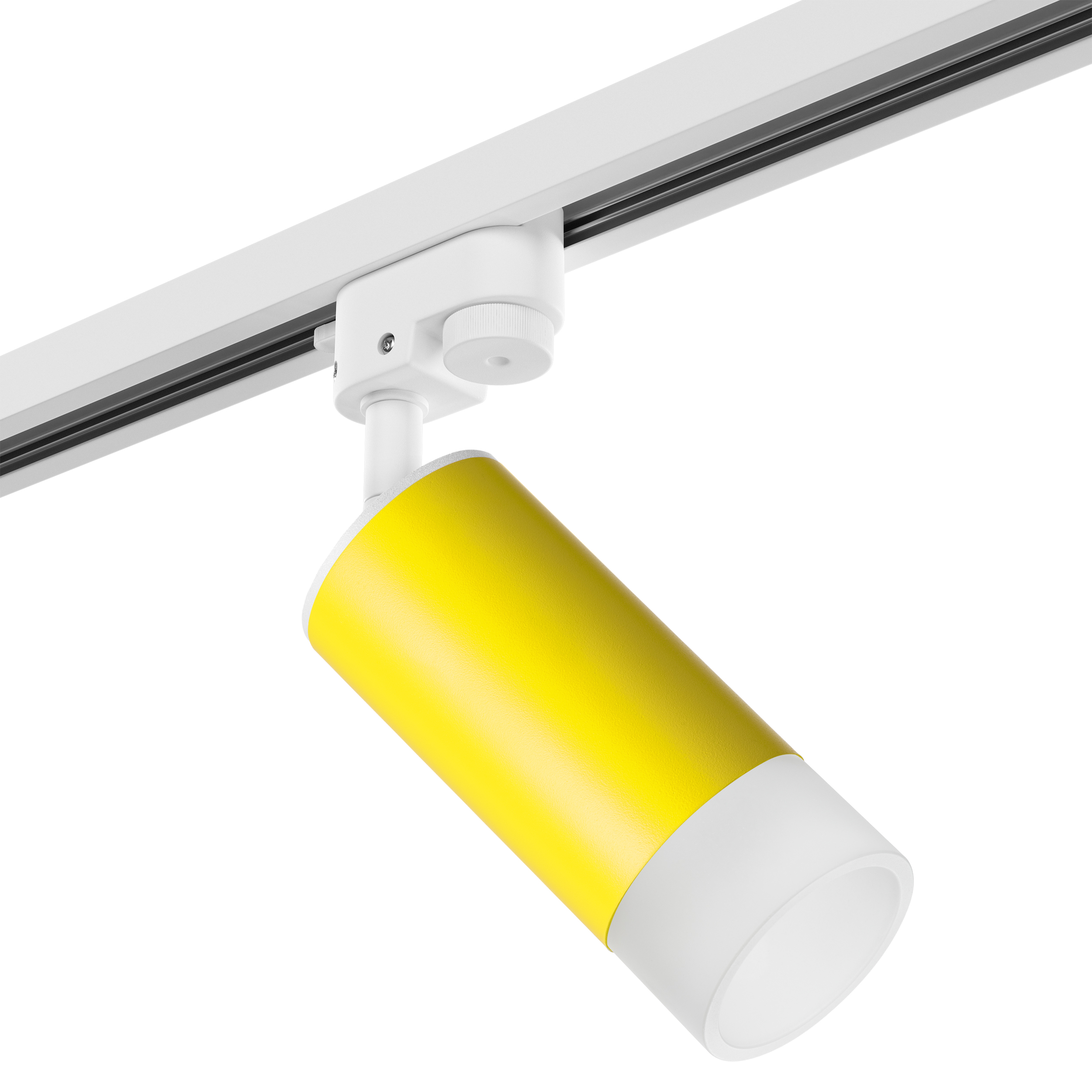 Lightstar Комплект со светильником Rullo Rullo Lightstar R1T43331 фото
