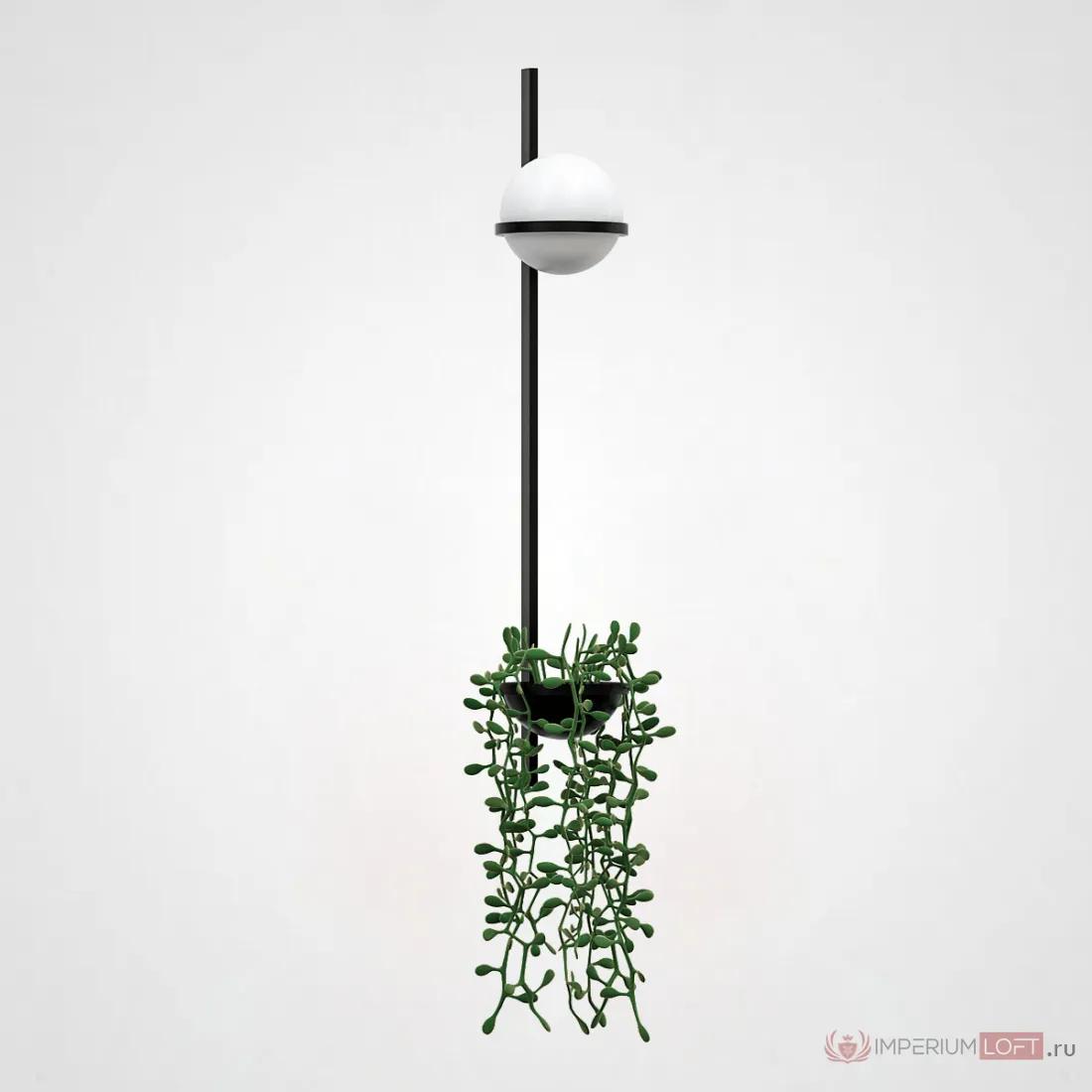 ImperiumLoft Бра PALMA Wall lamp 1 шар + 1 вазон вертикальная фото