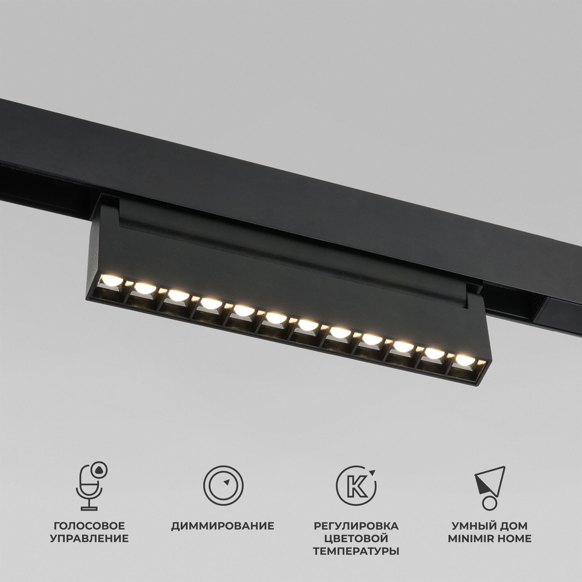 Elektrostandard 85195/01 Slim Magnetic Умный трековый светильник 12W 2700-6500K Dim HL02 (черный) фото