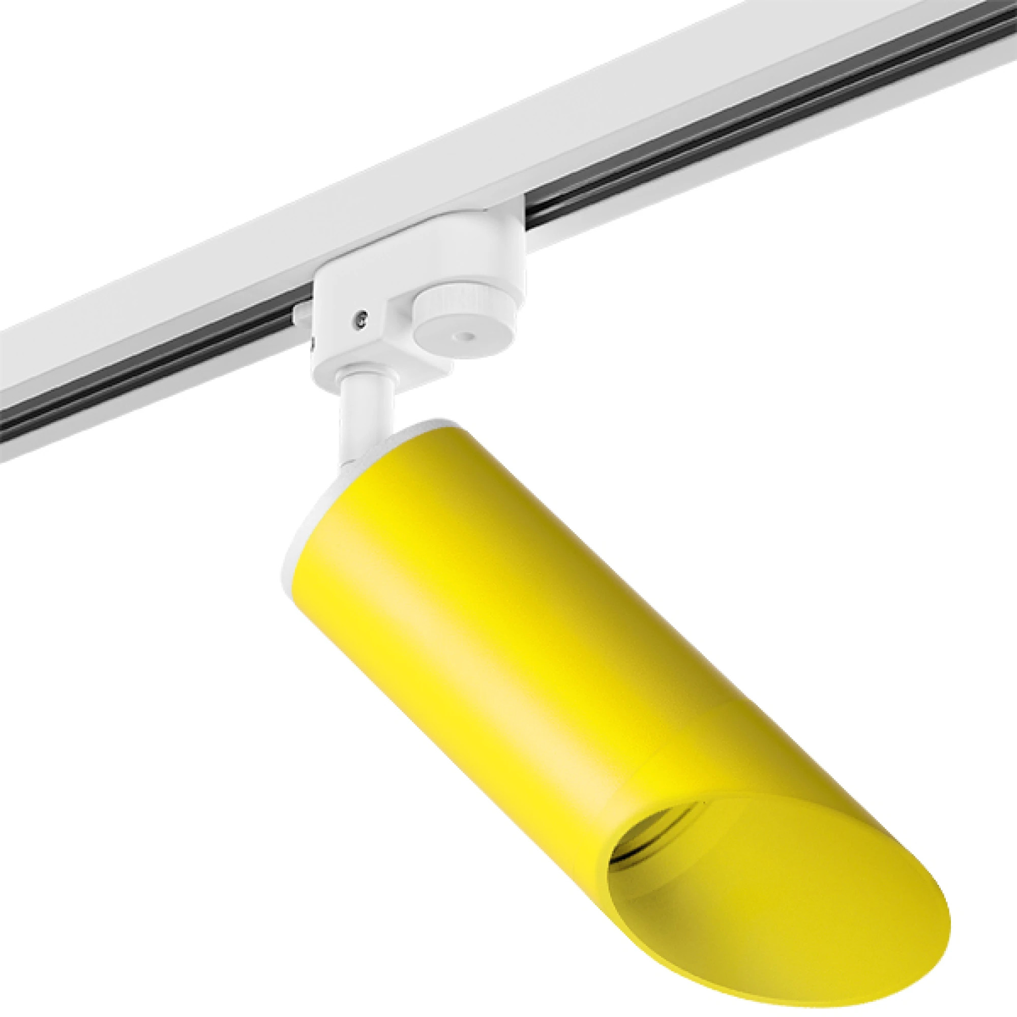 Lightstar Комплект со светильником Rullo Rullo Lightstar R1T43333 фото