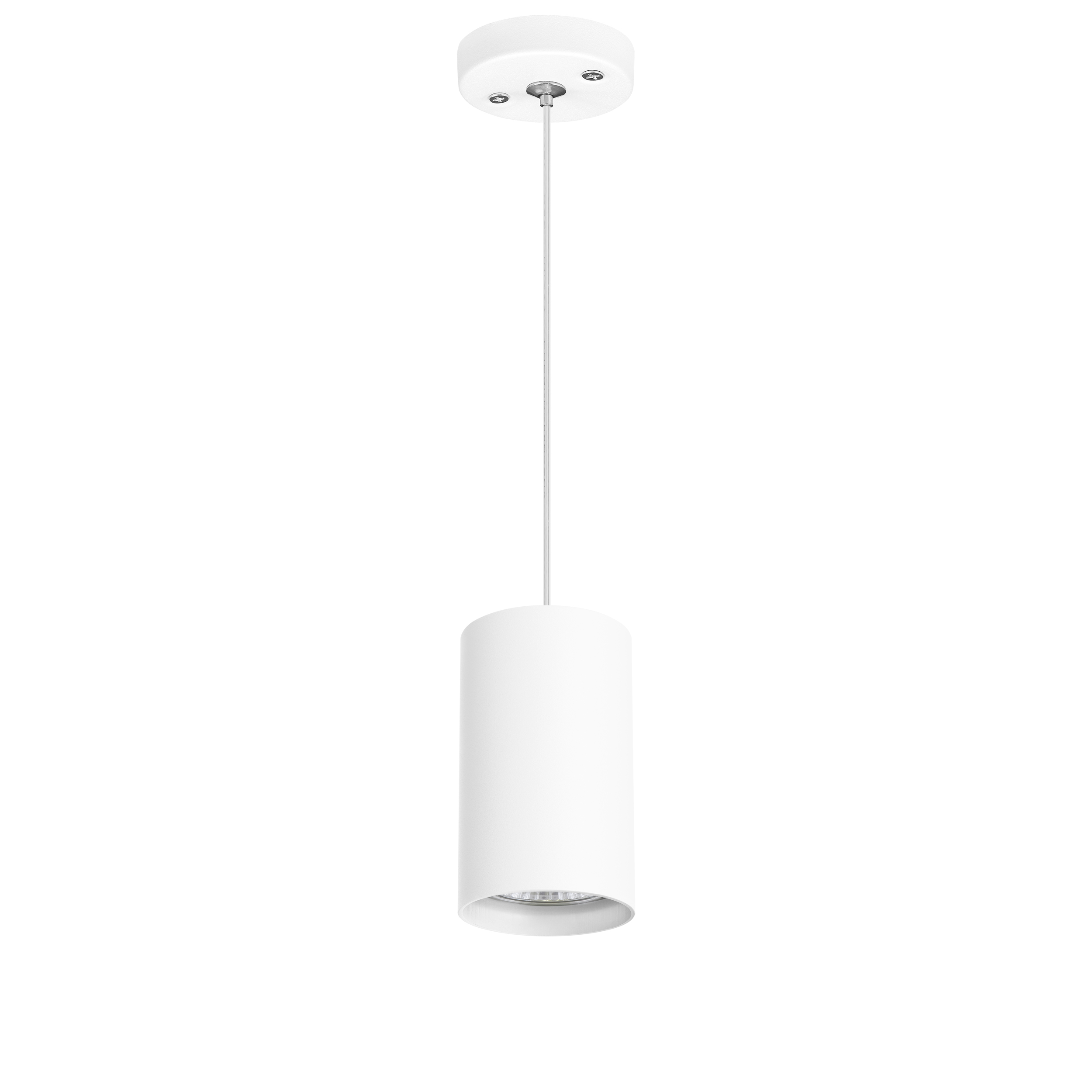 Lightstar Комплект со светильником Rullo Rullo Lightstar RP436 фото