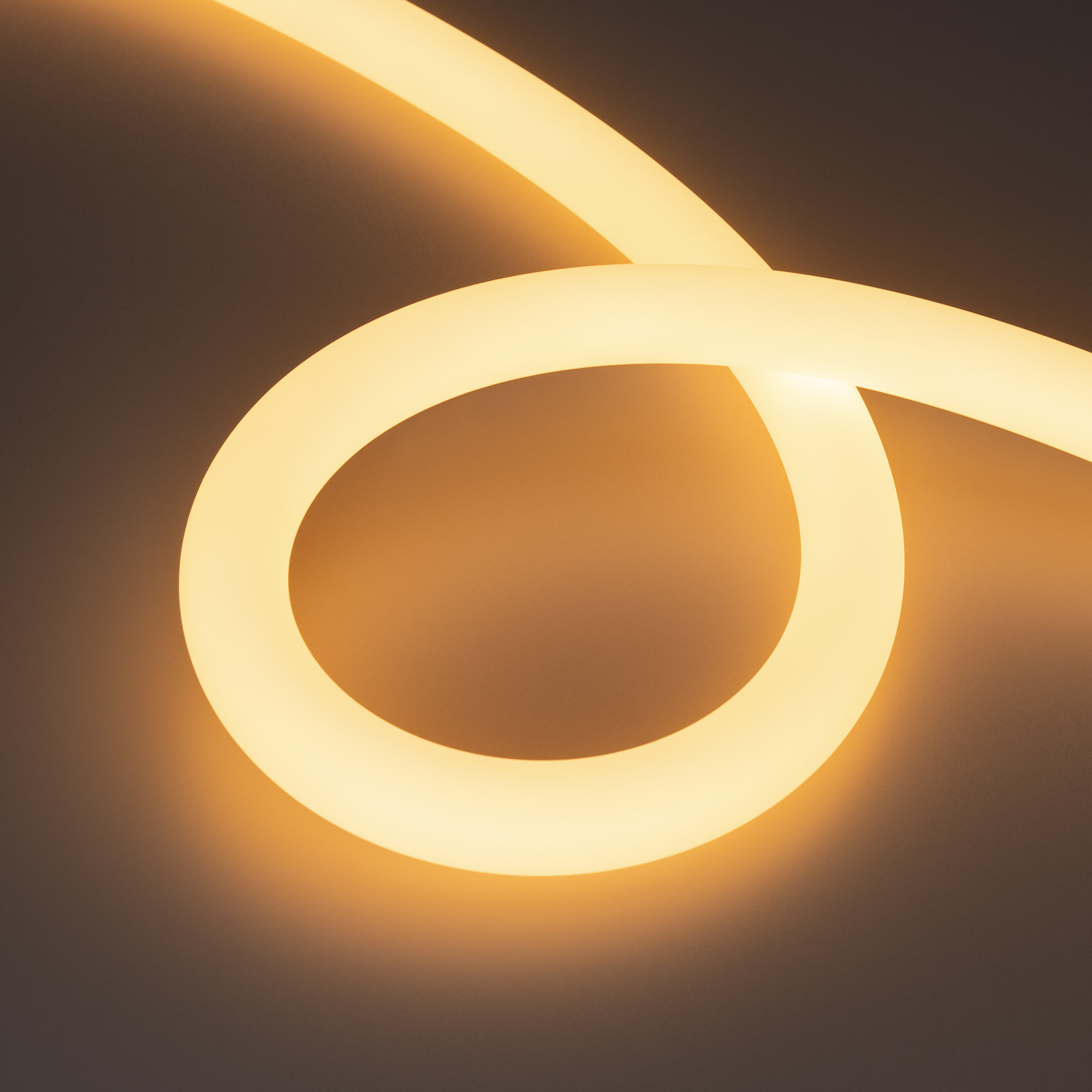 Arlight Лента герметичная MOONLIGHT-TOP-A336-D25mm 24V Warm2700 360deg (14.4 W/m, IP65, 2835, 5m, wire x1) (Прямой вывод кабеля) фото