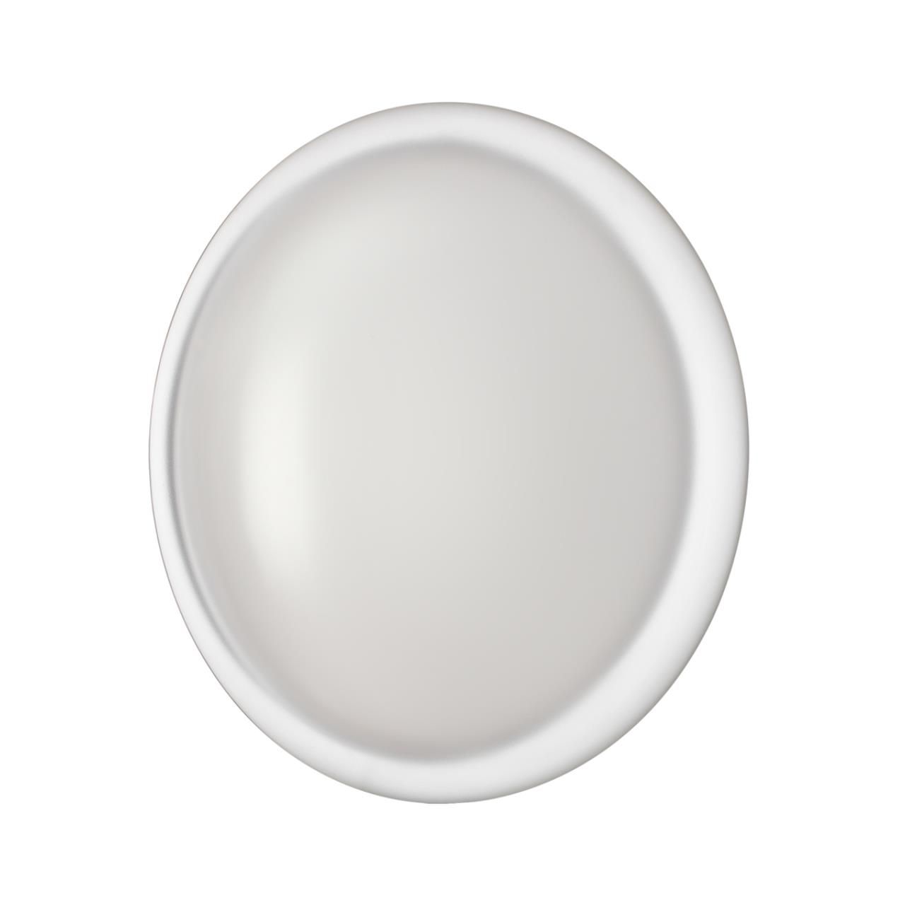 Sonex 7776/DLN PALE SN 110 Светильник пластик/белый LED 48Вт 3000/4000/6000К D400 IP43 CCT JOLLY фото
